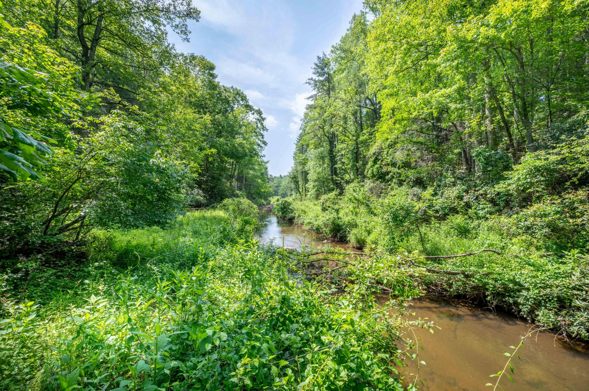 1073 Timberline RD SE - Photo 30