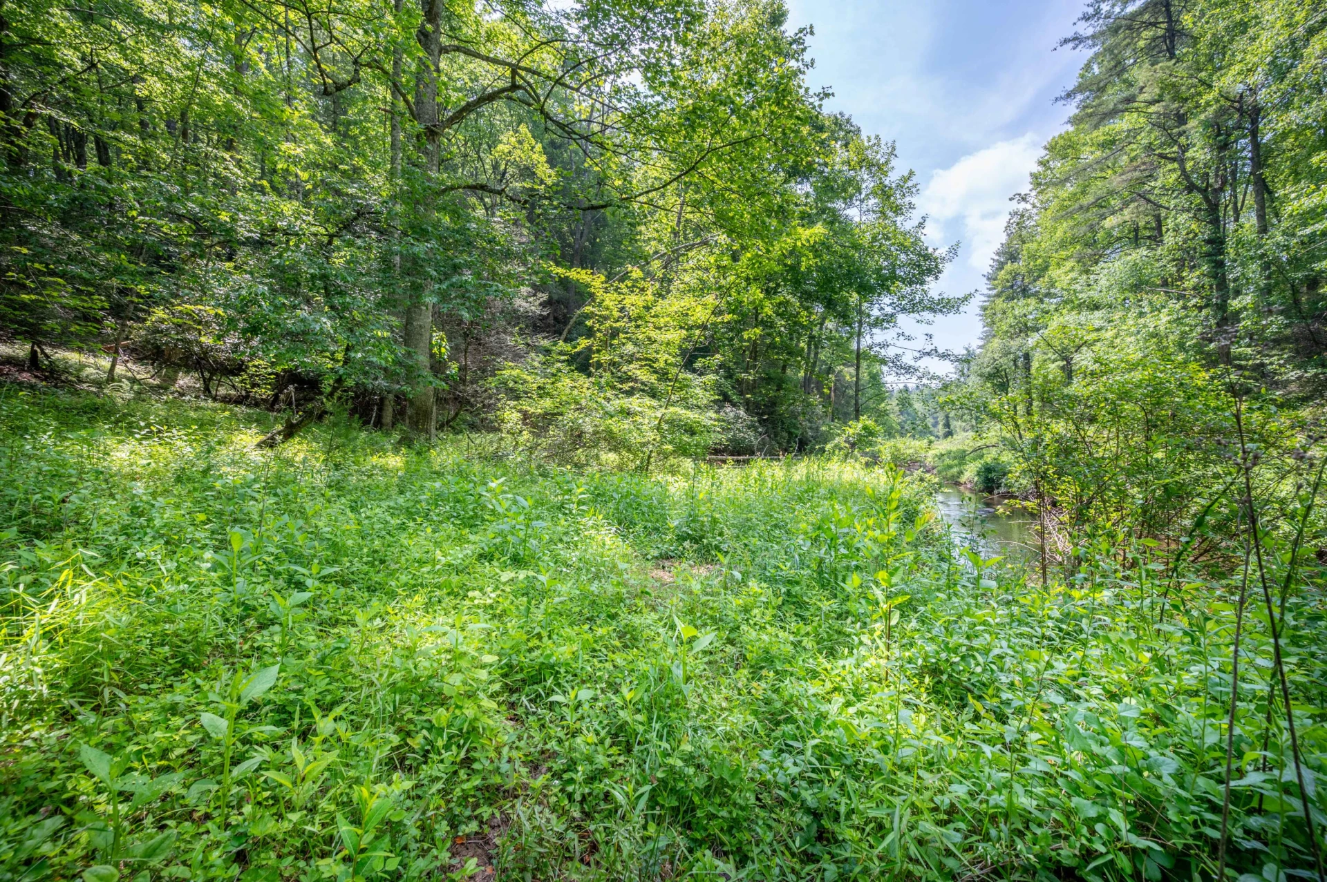 1073 Timberline RD SE - Photo 31