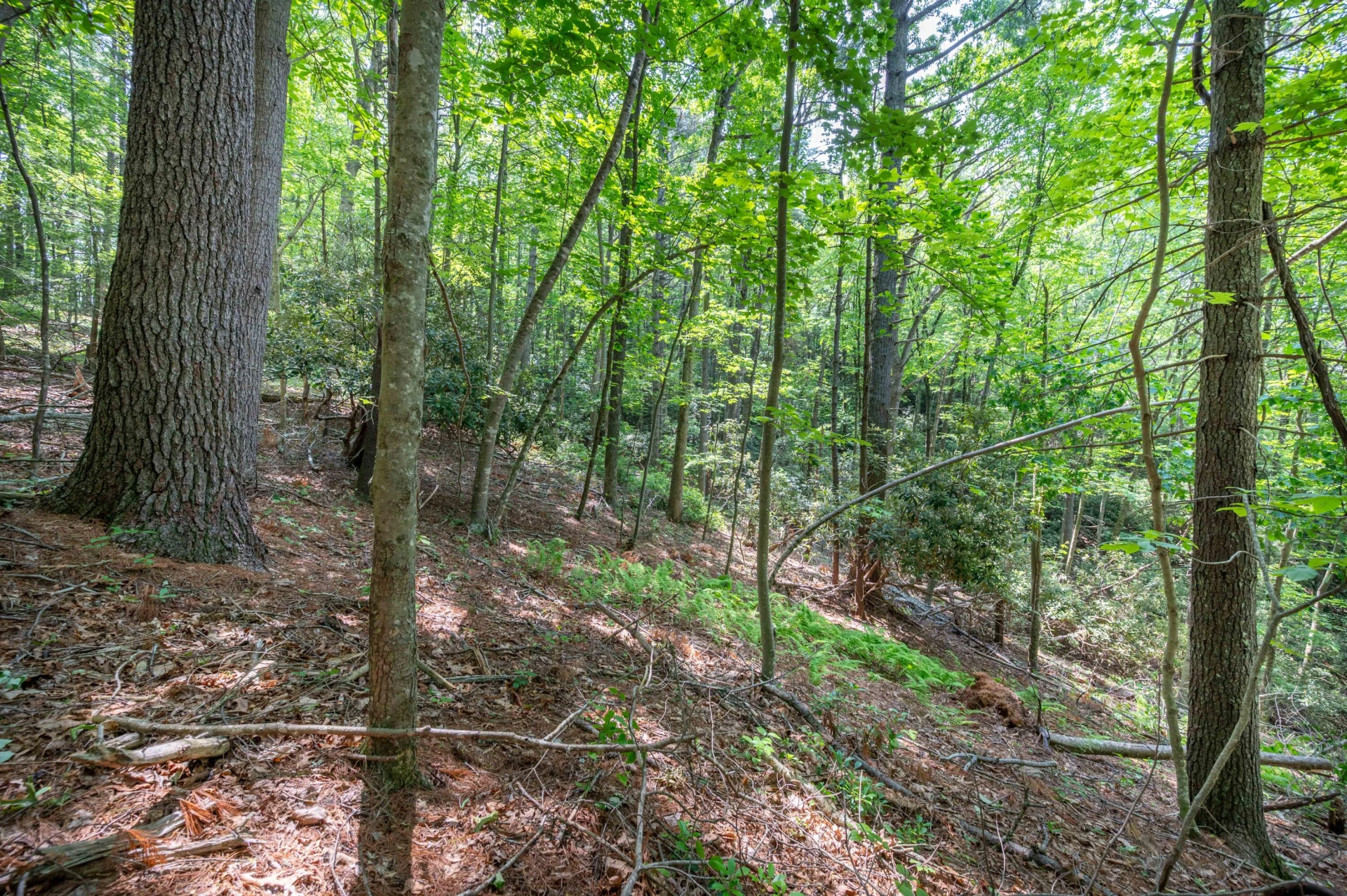 1073 Timberline RD SE - Photo 33