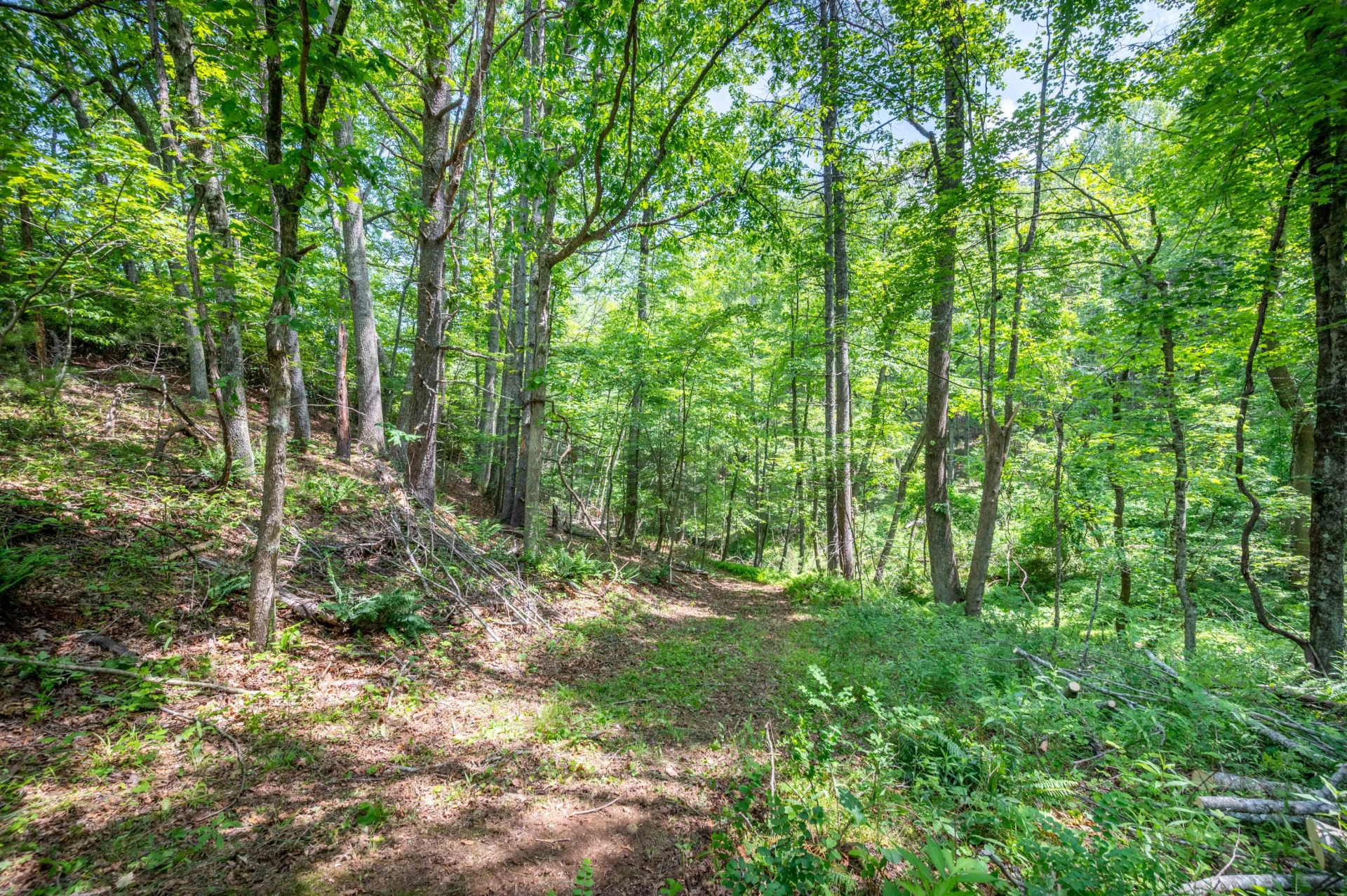 1073 Timberline RD SE - Photo 34