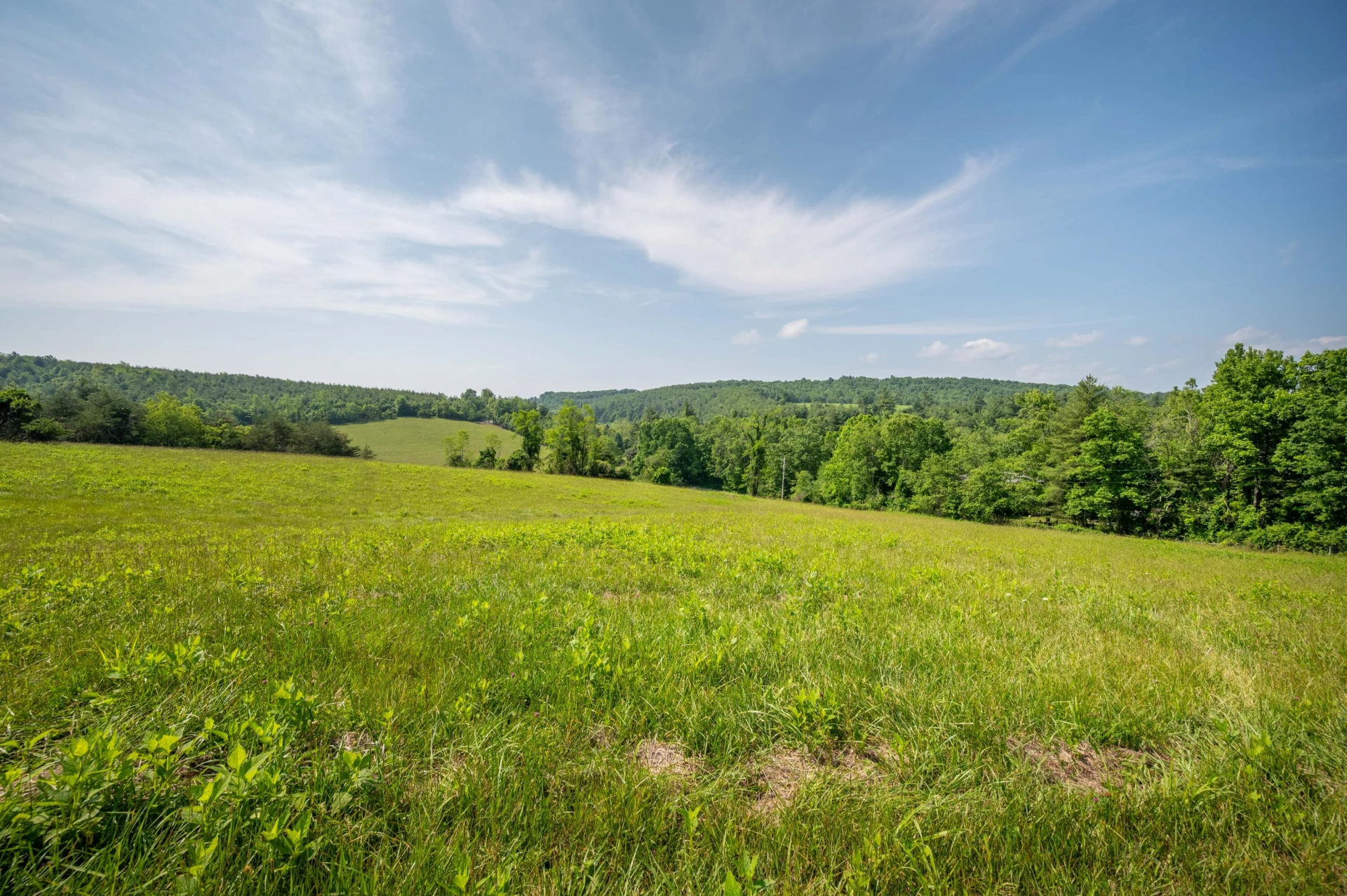 1073 Timberline RD SE - Photo 4