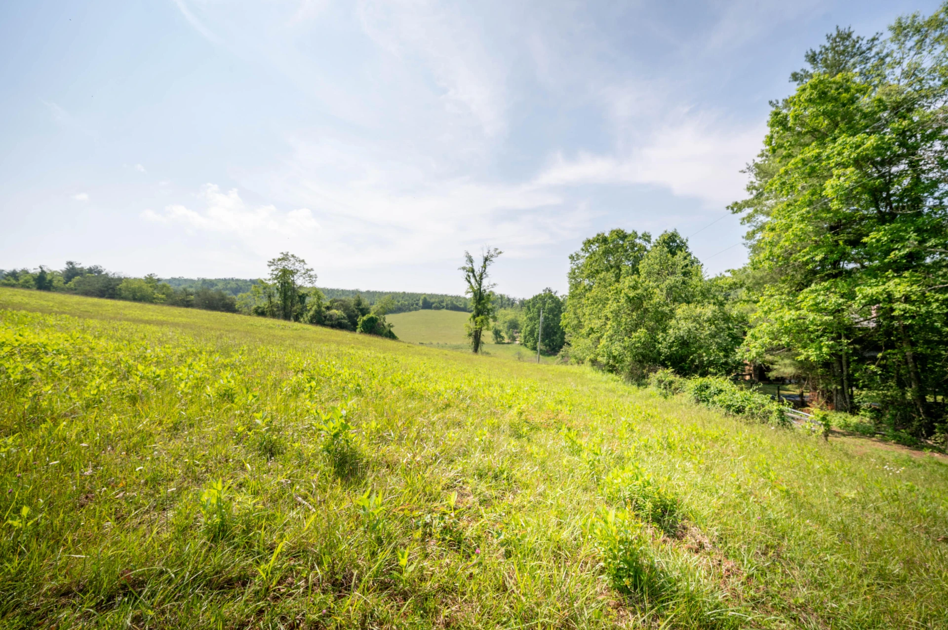 1073 Timberline RD SE - Photo 5