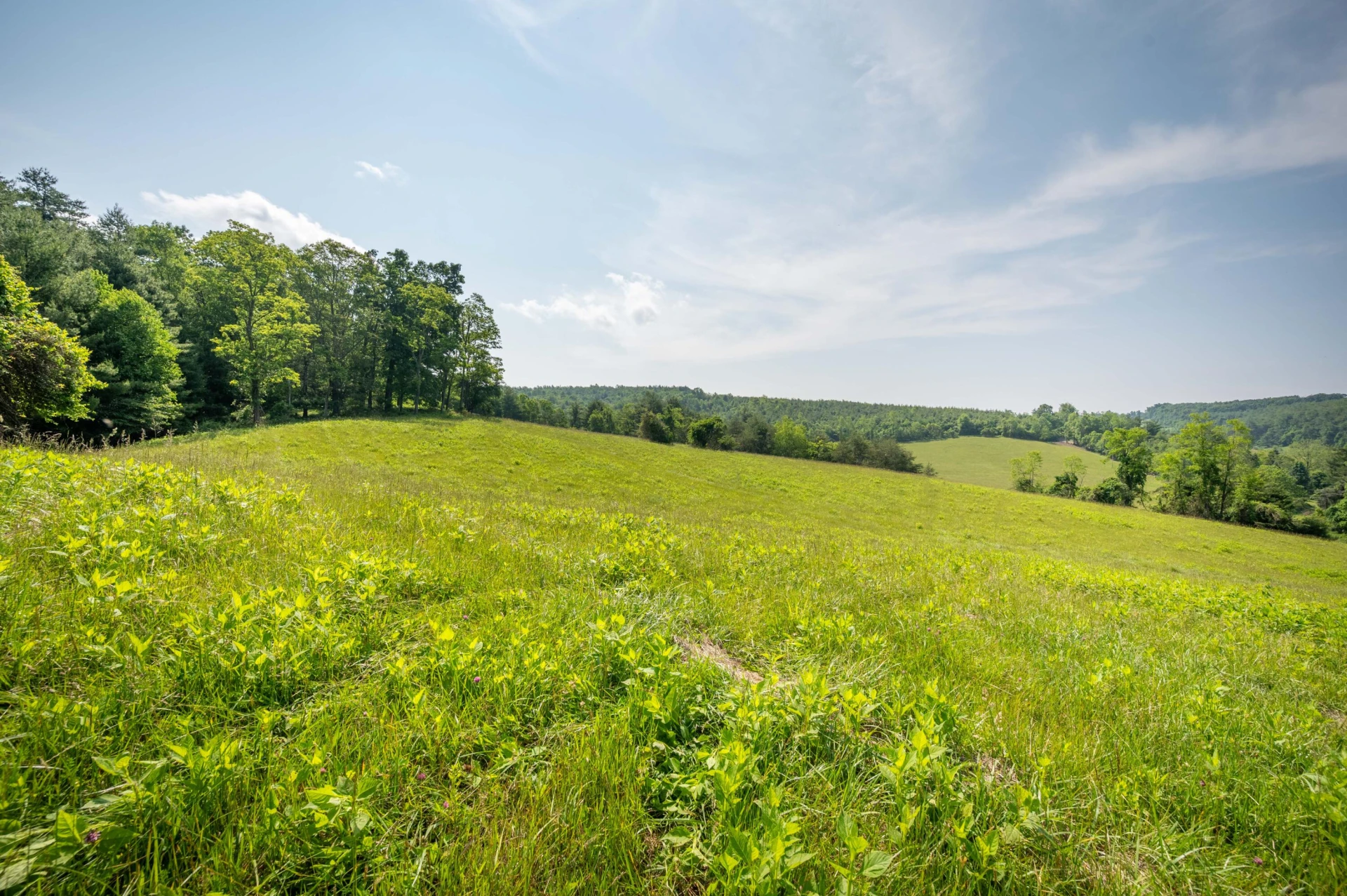 1073 Timberline RD SE - Photo 6