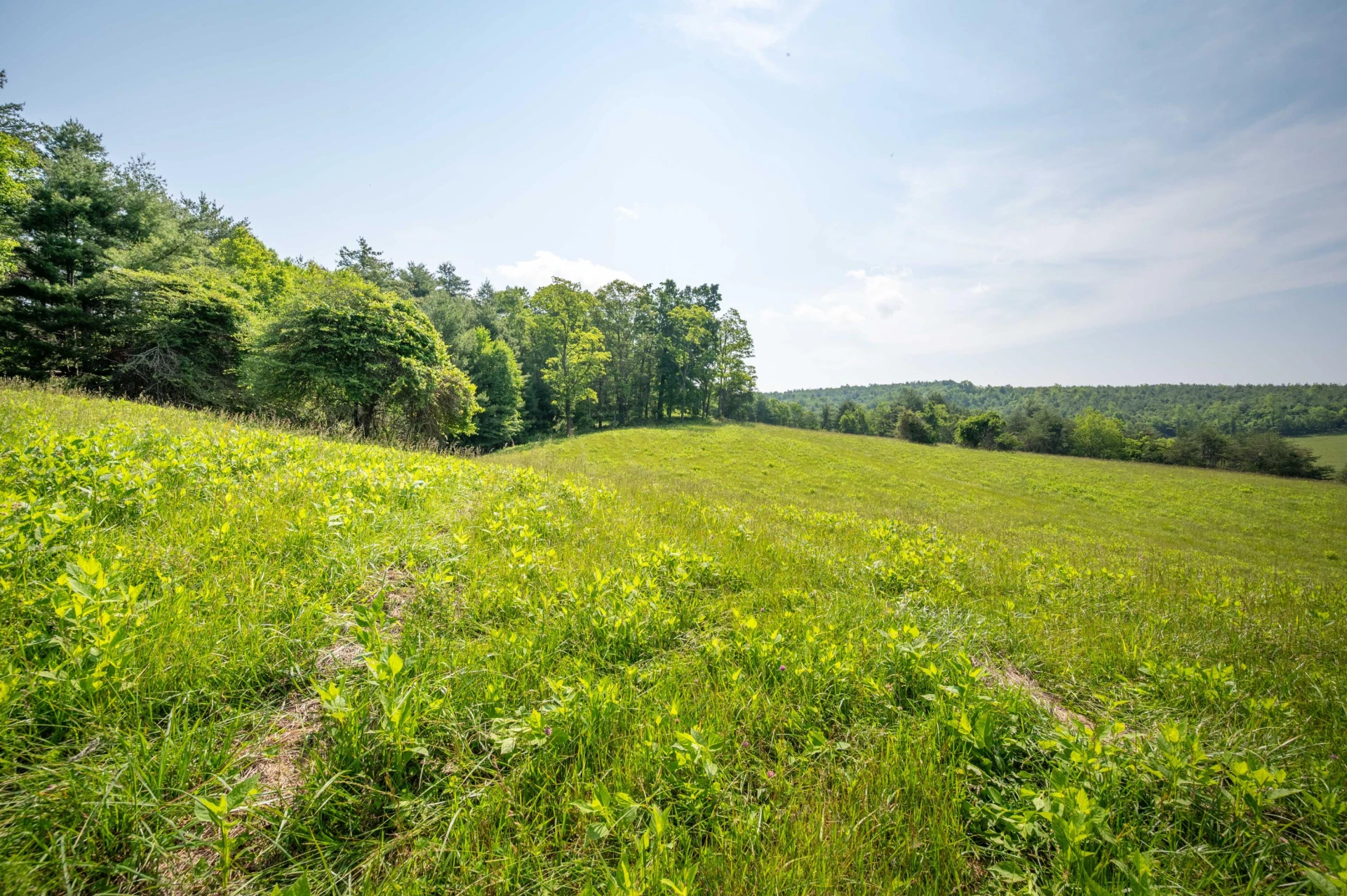 1073 Timberline RD SE - Photo 8