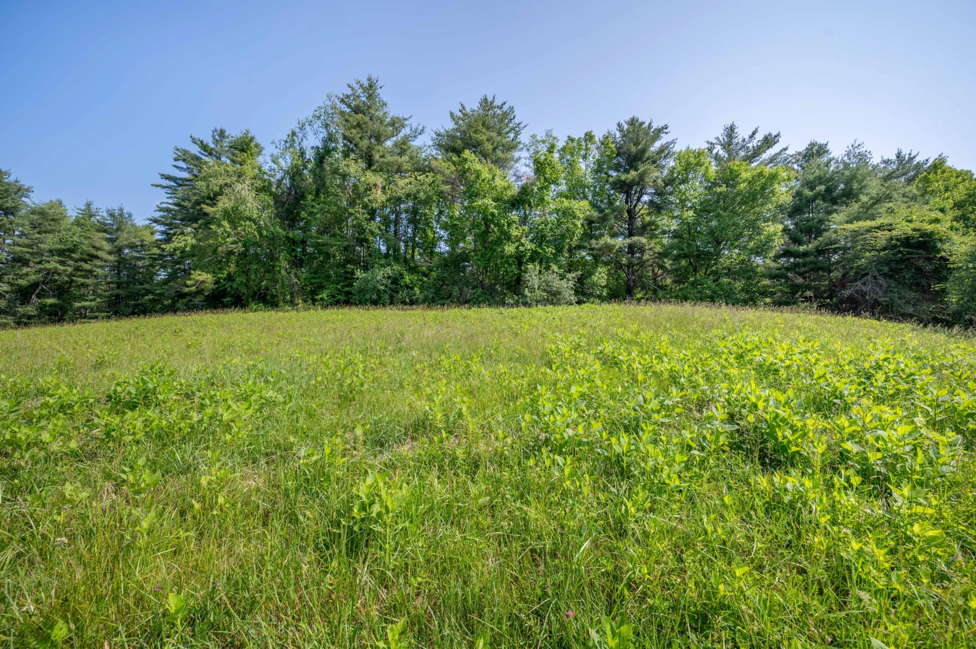 1073 Timberline RD SE - Photo 9