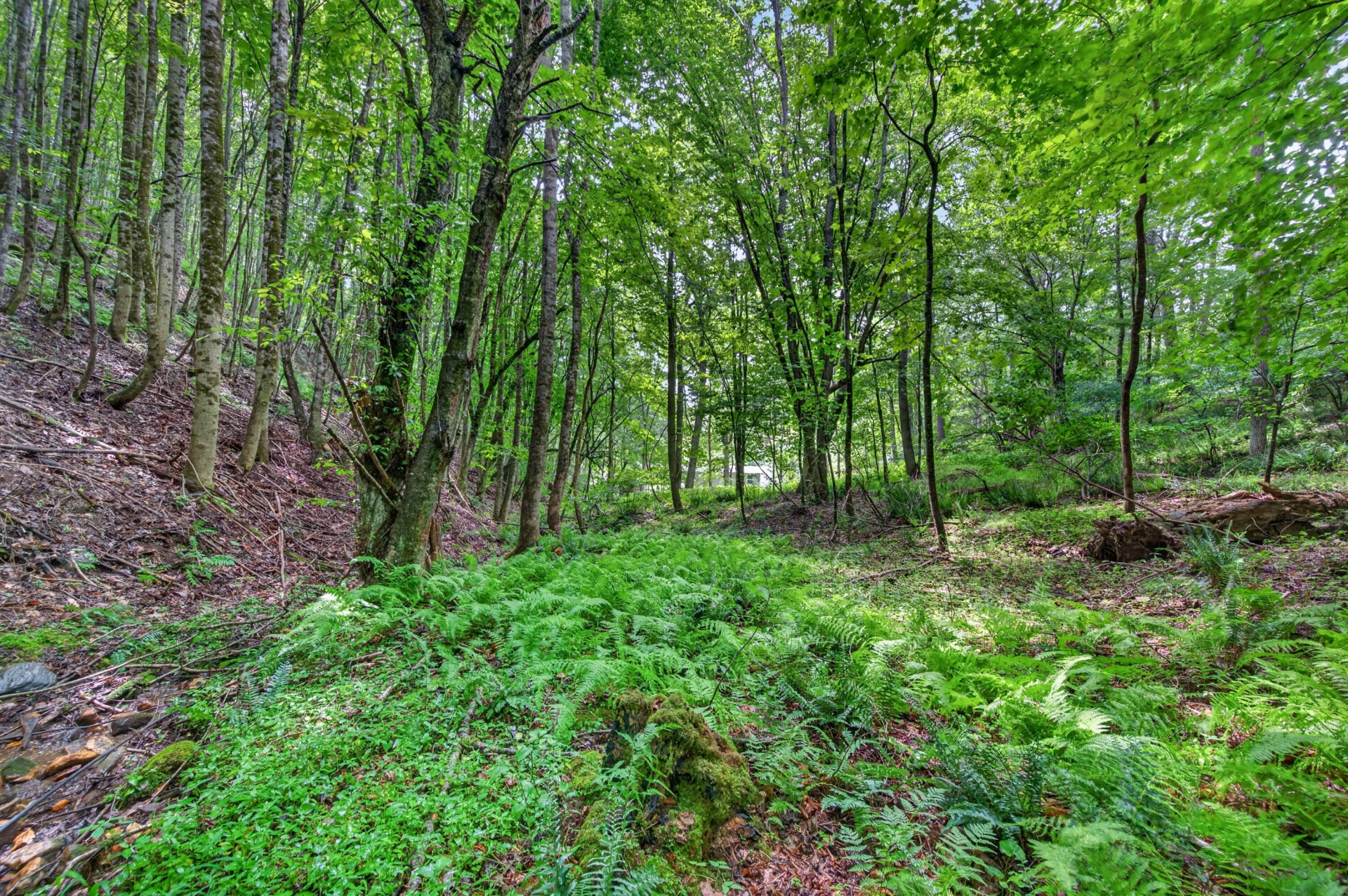 1625 Hollandsworth RD NW - Photo 44