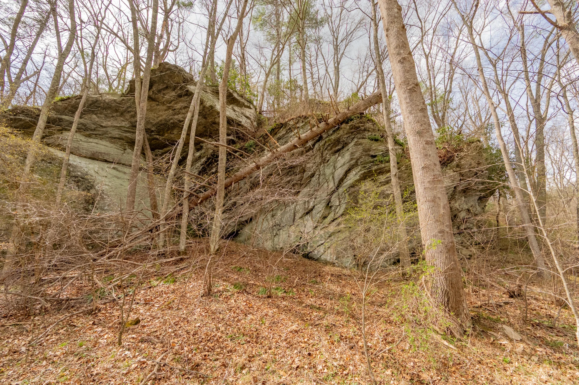 183 Pine Mountain RD NE - Photo 39
