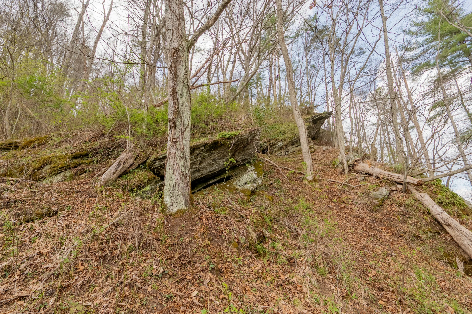 183 Pine Mountain RD NE - Photo 44