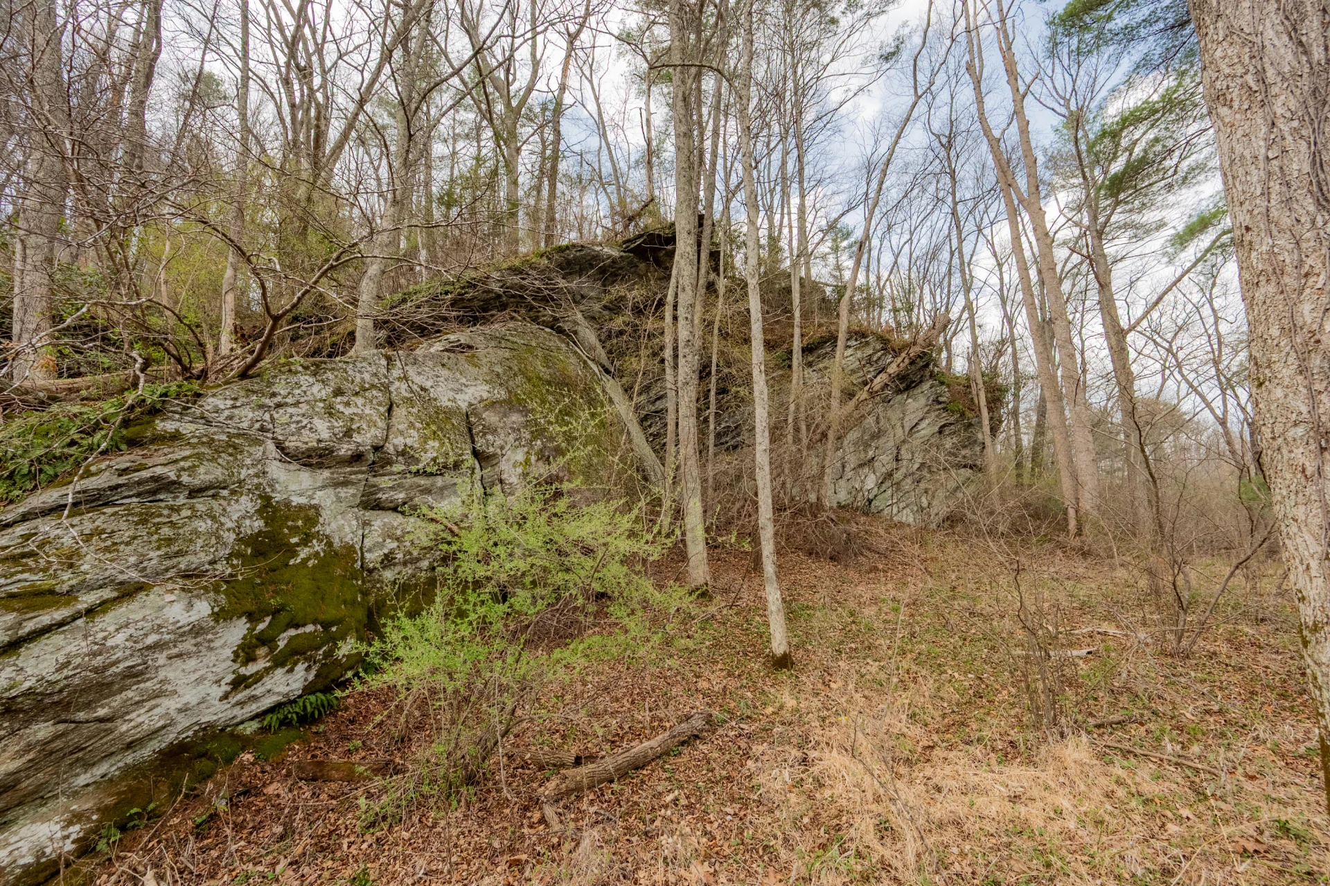 183 Pine Mountain RD NE - Photo 47