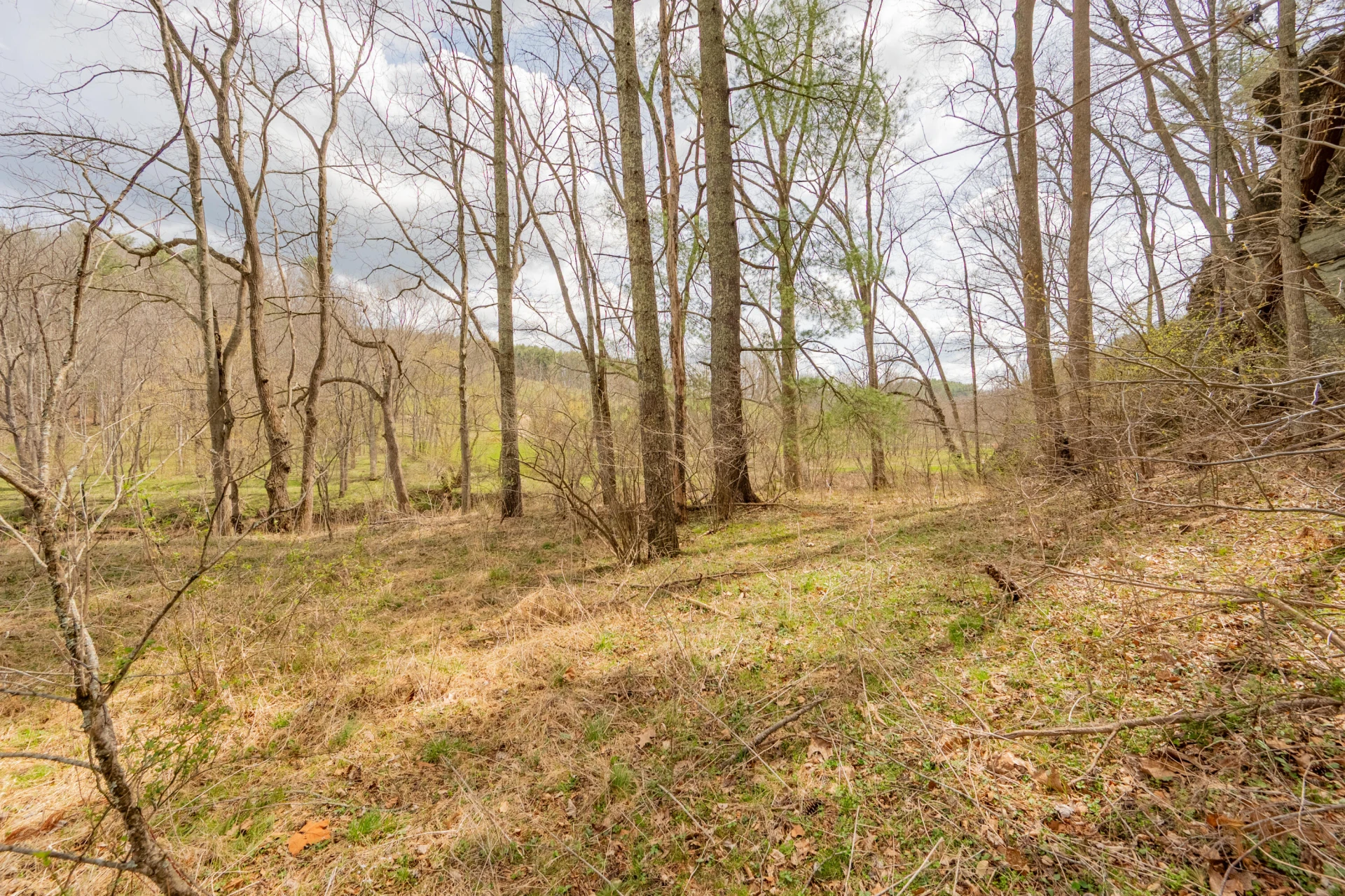 183 Pine Mountain RD NE - Photo 50