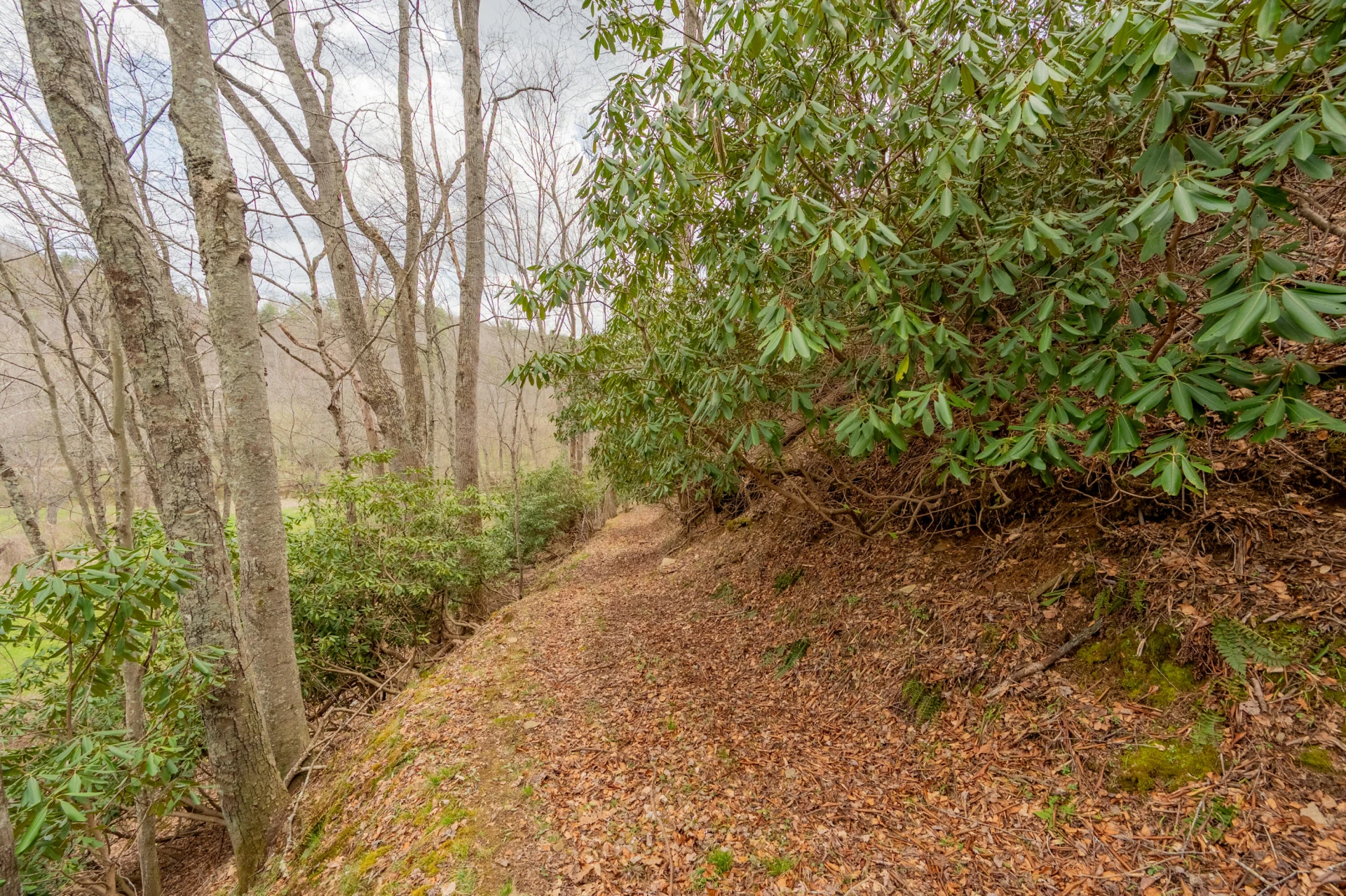 183 Pine Mountain RD NE - Photo 51