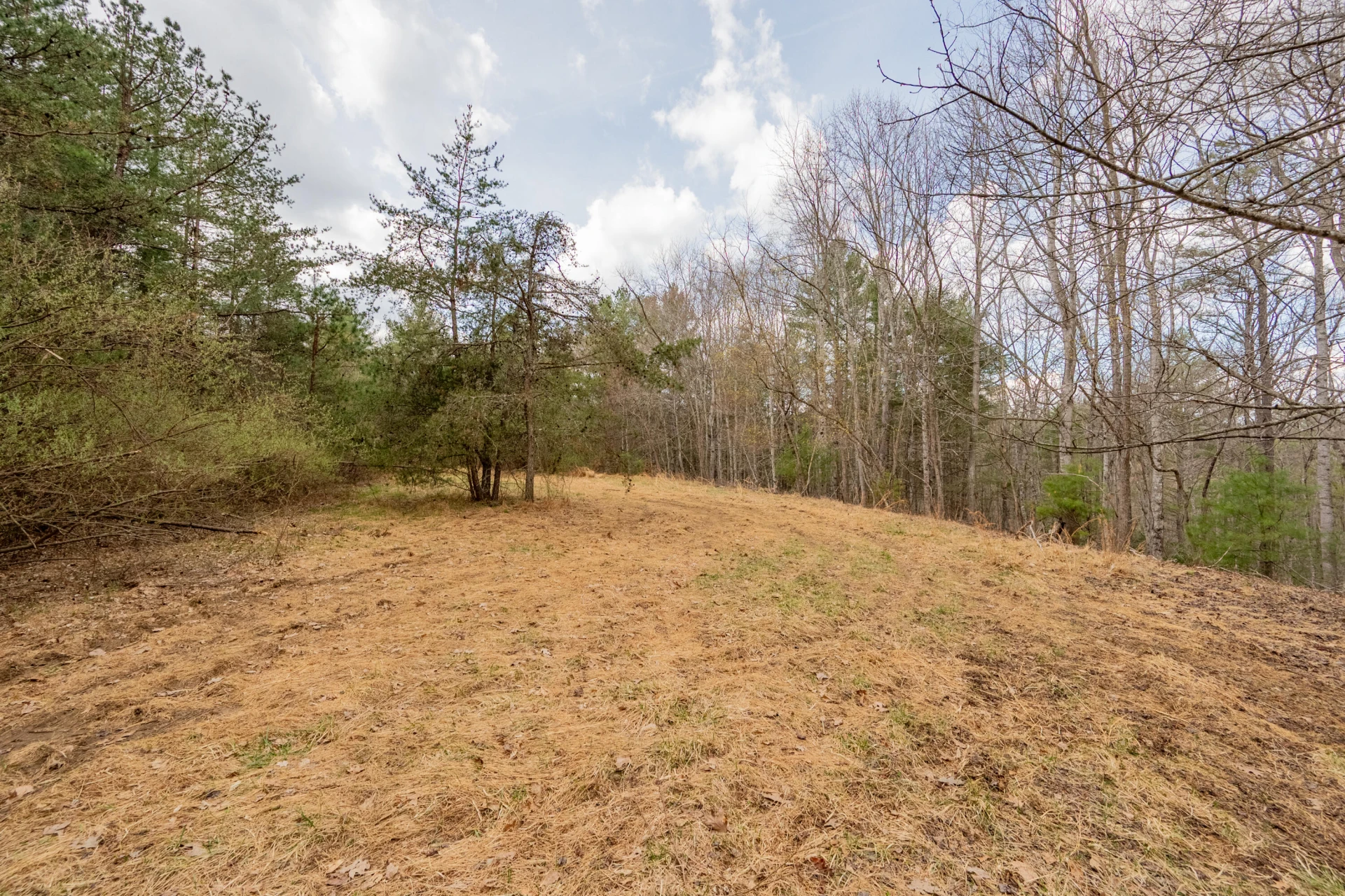 183 Pine Mountain RD NE - Photo 53