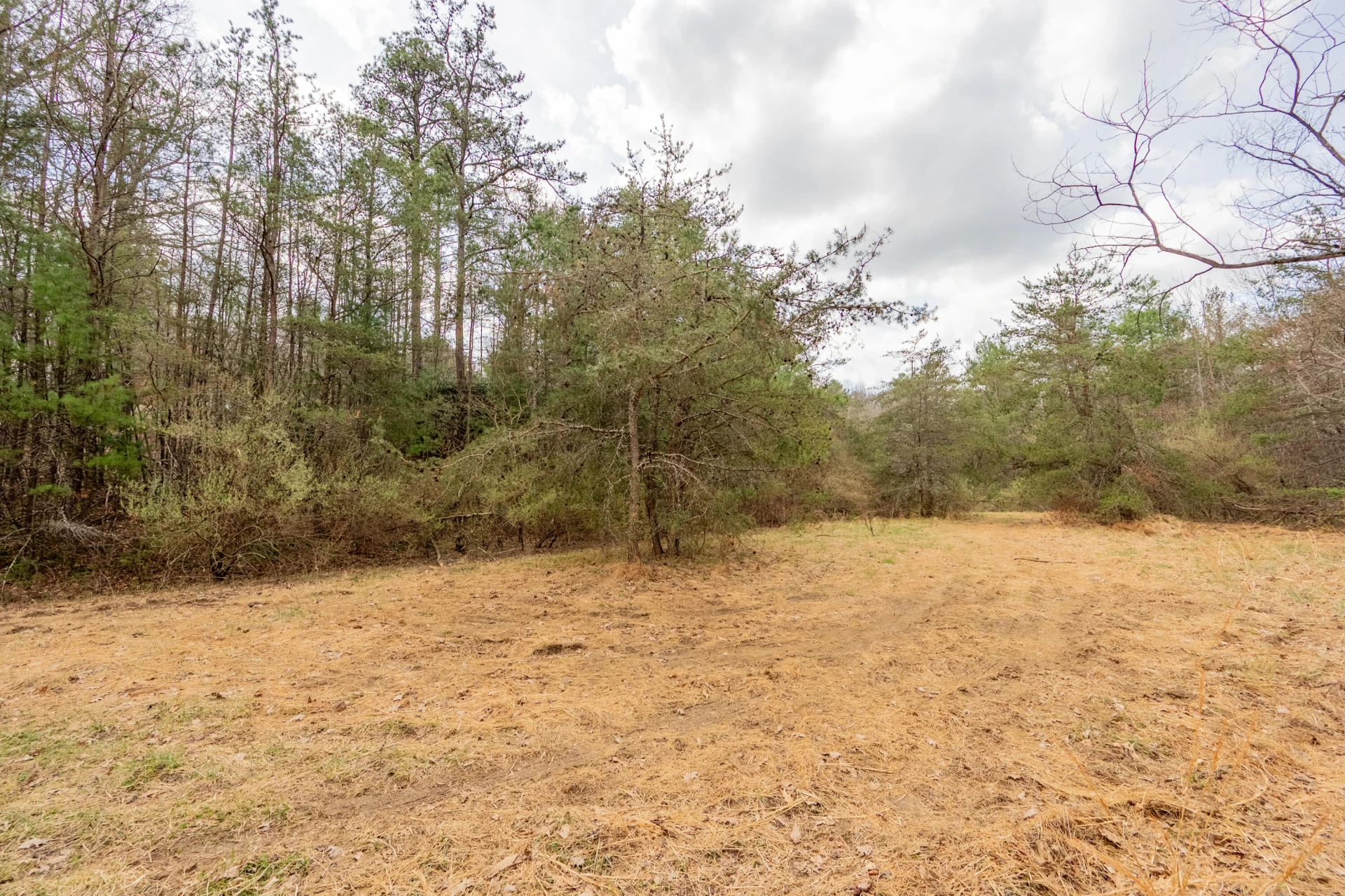 183 Pine Mountain RD NE - Photo 54
