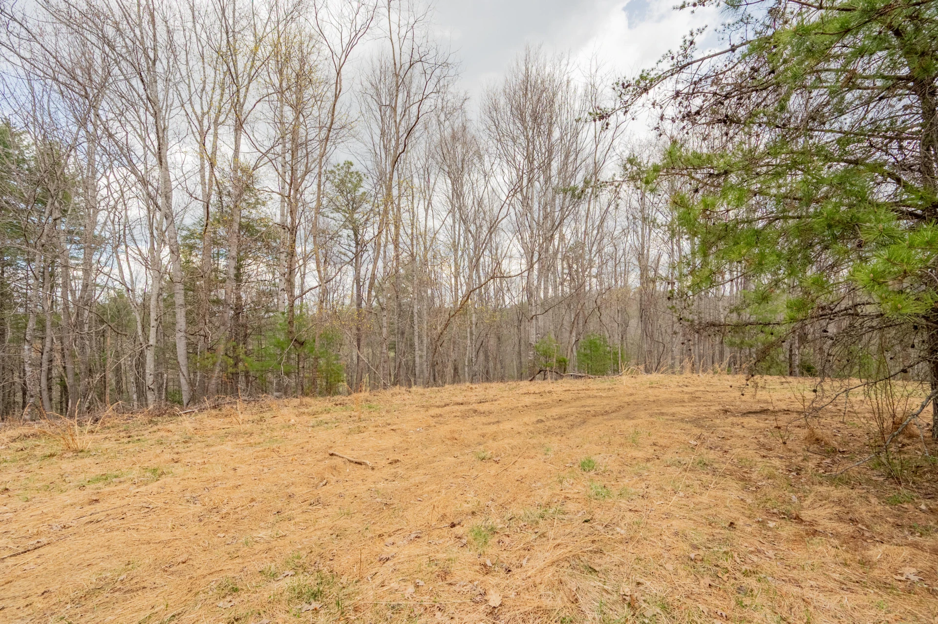 183 Pine Mountain RD NE - Photo 55