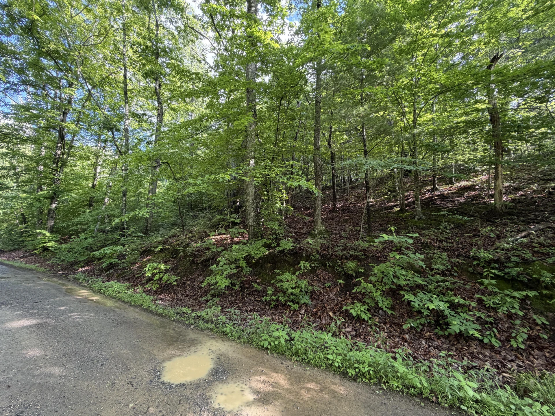 0 Lake RD - Photo 10