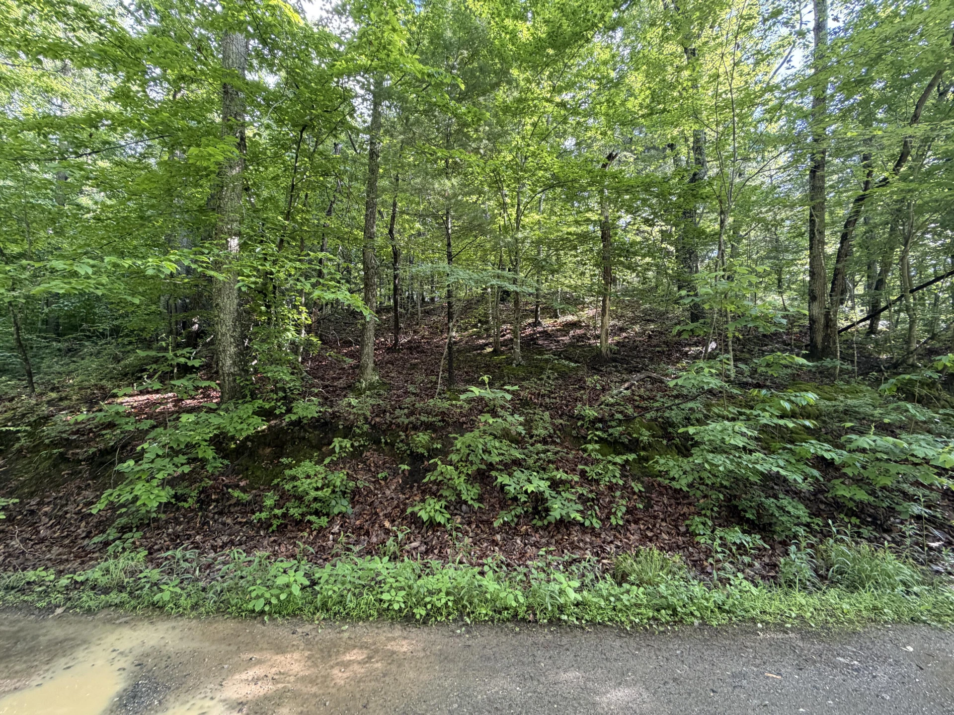 0 Lake RD - Photo 11