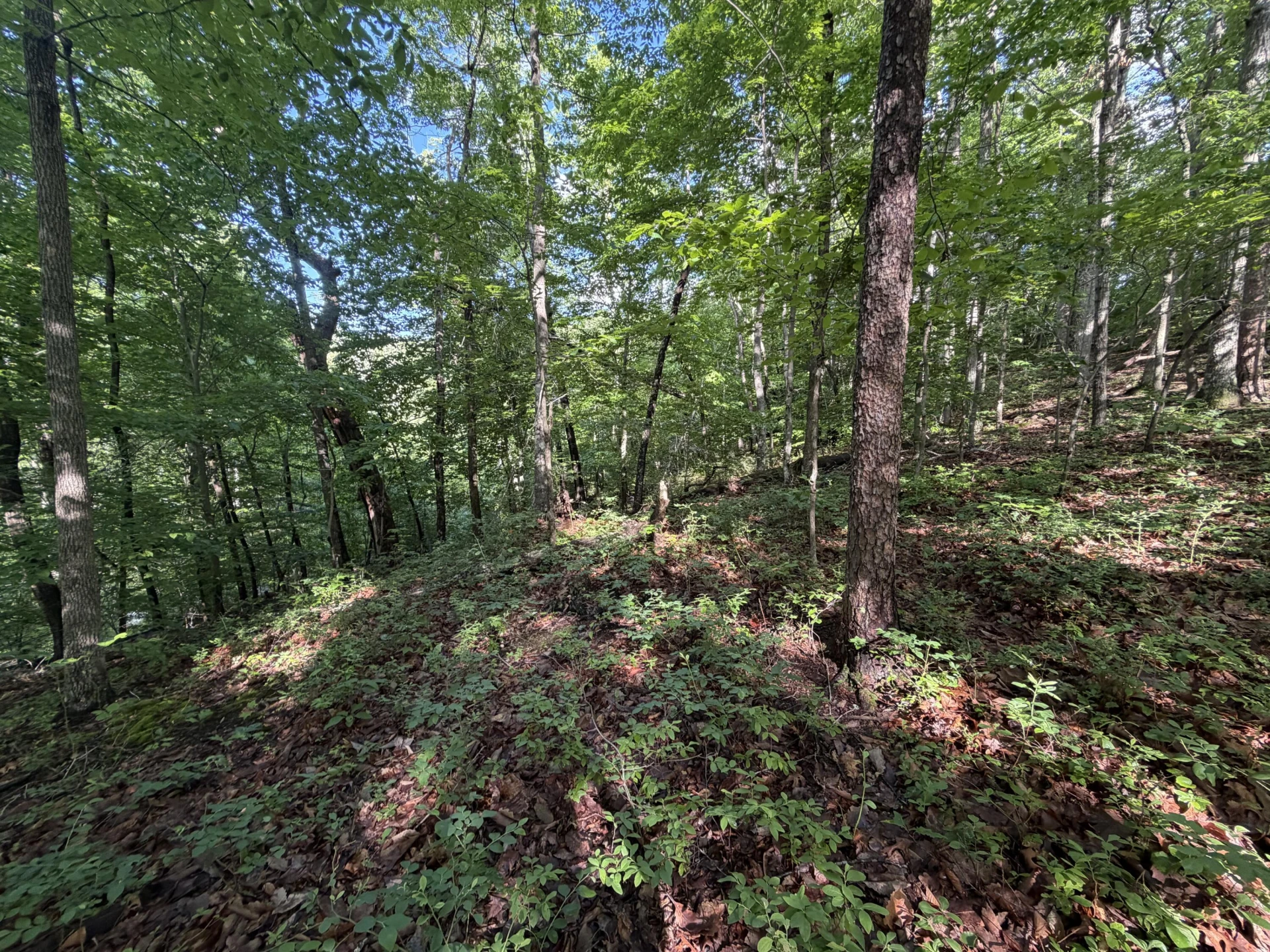 0 Lake RD - Photo 12