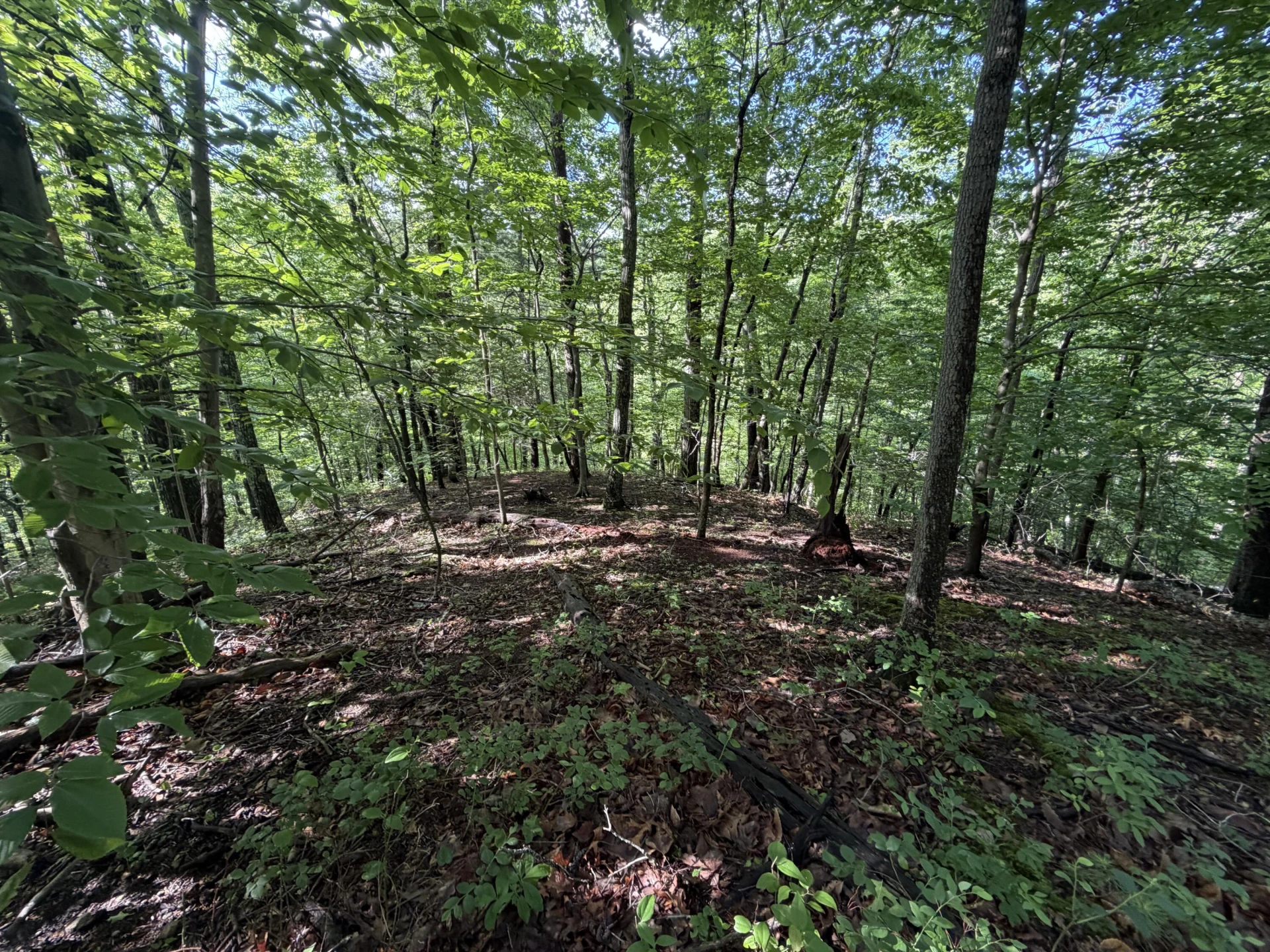 0 Lake RD - Photo 13