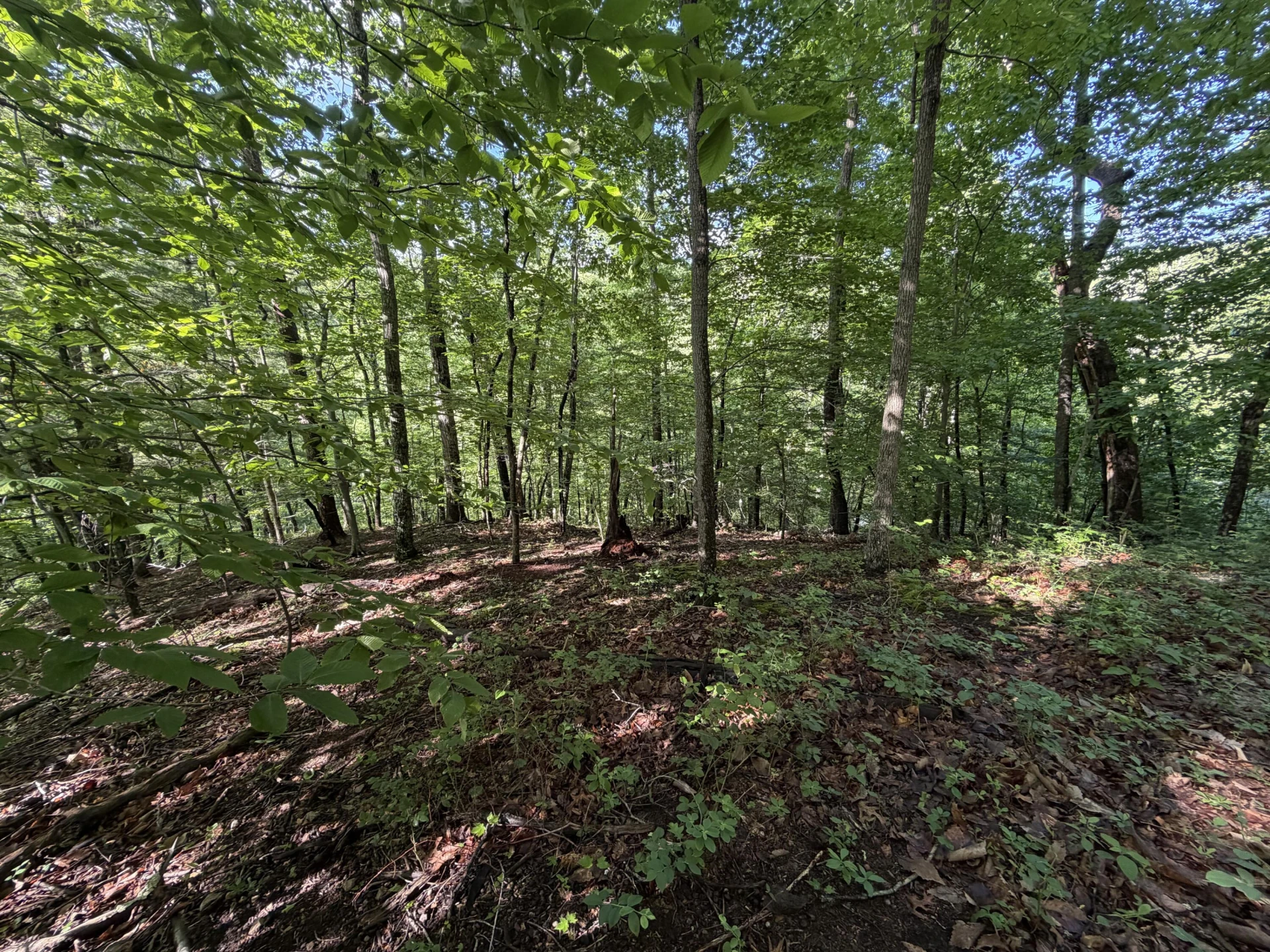 0 Lake RD - Photo 14