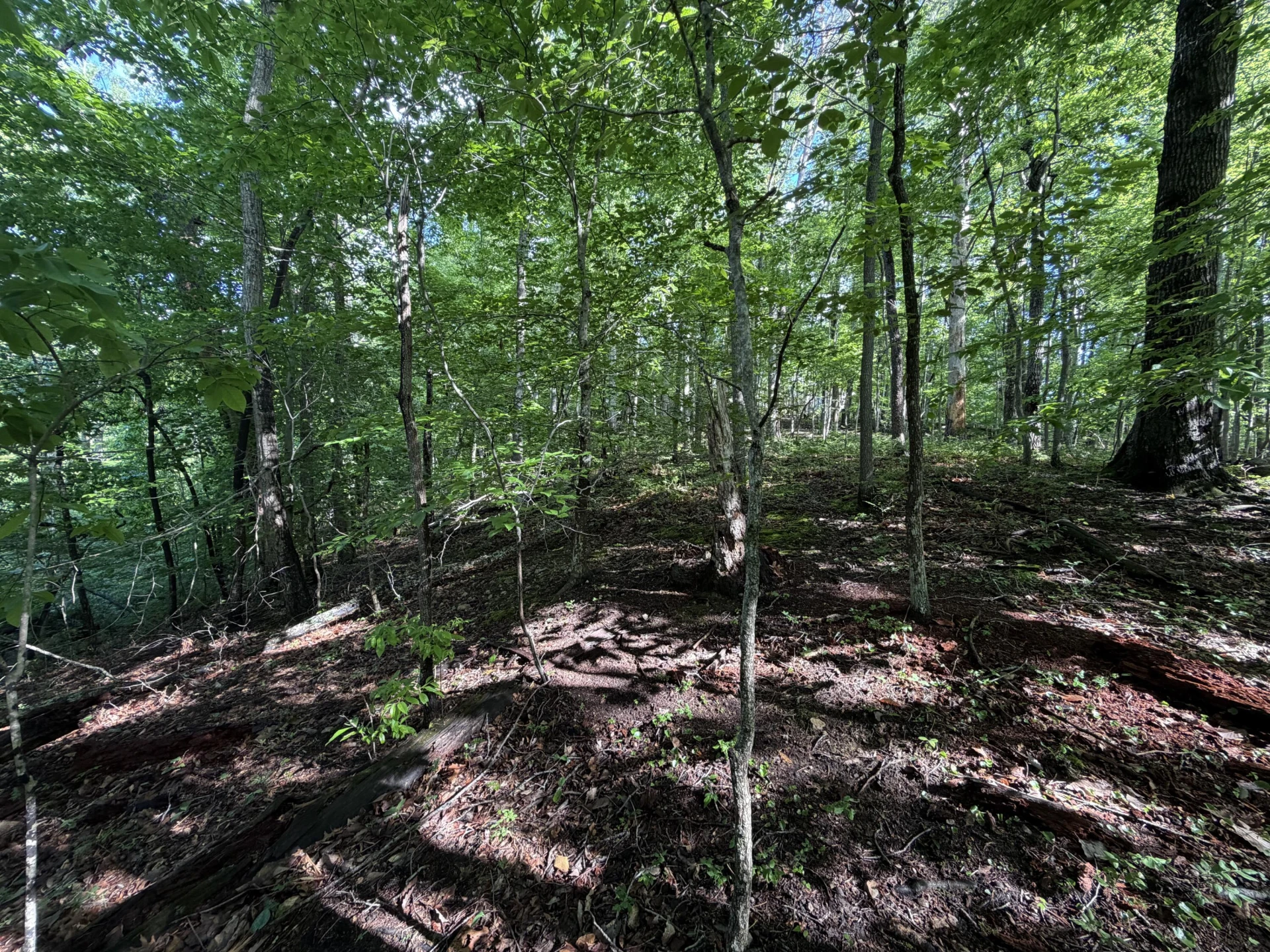 0 Lake RD - Photo 15