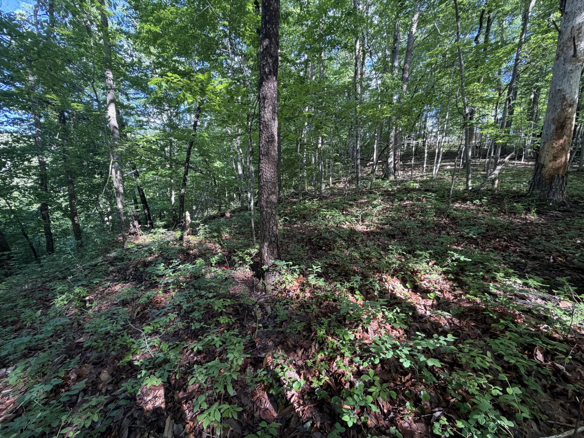 0 Lake RD - Photo 16