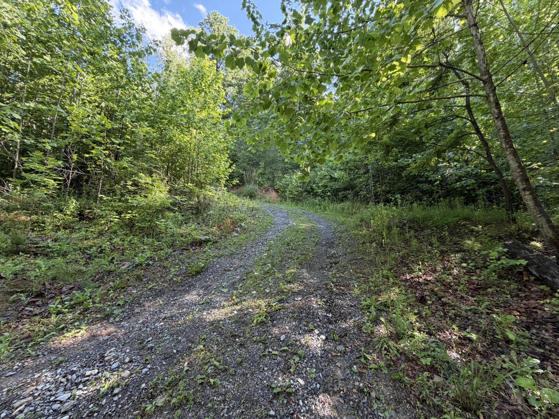 0 Lake RD - Photo 3
