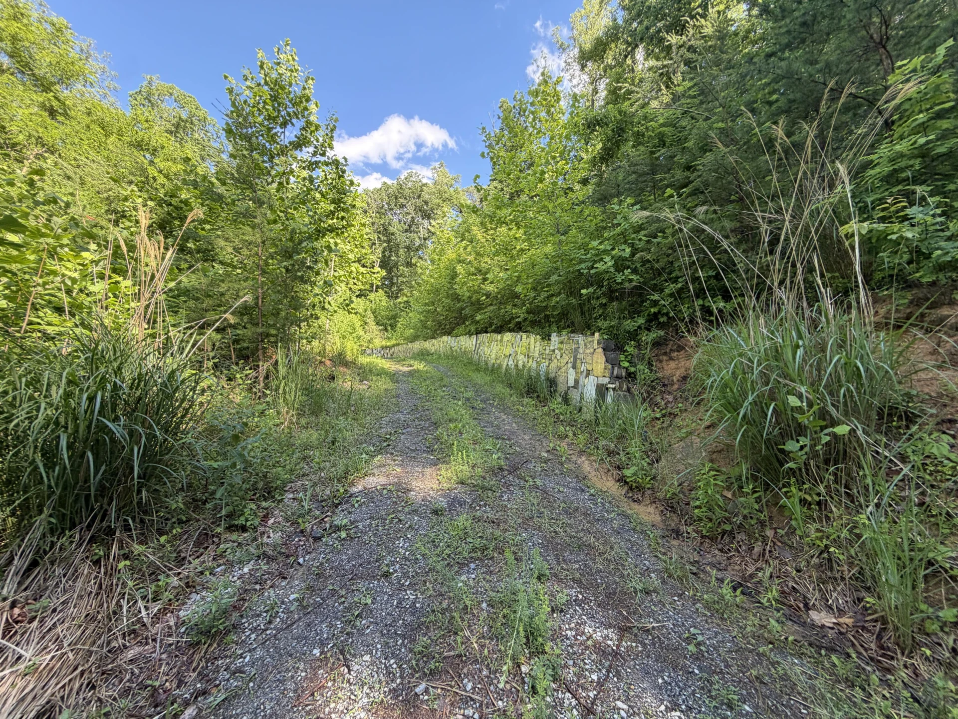 0 Lake RD - Photo 4