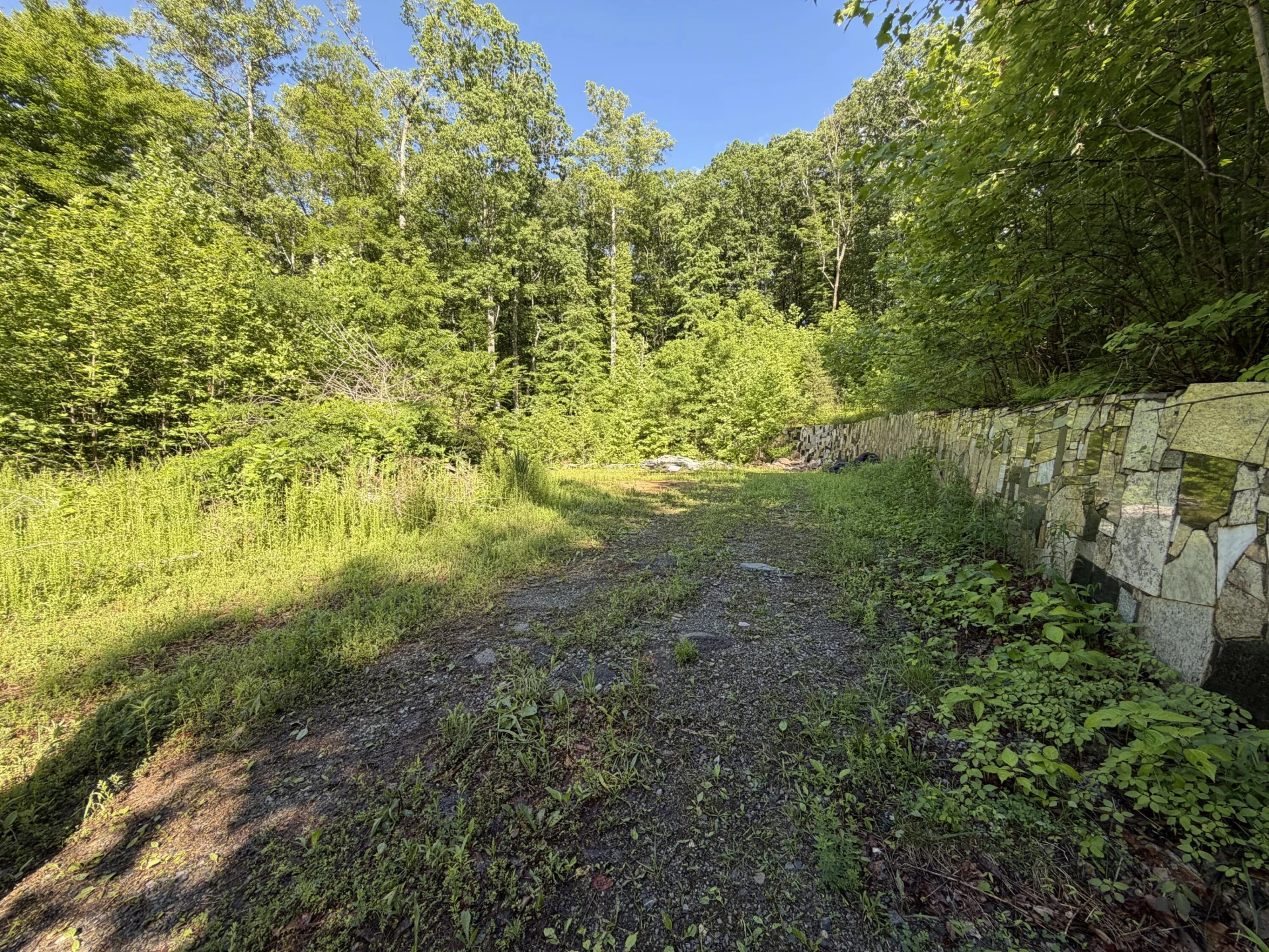 0 Lake RD - Photo 5