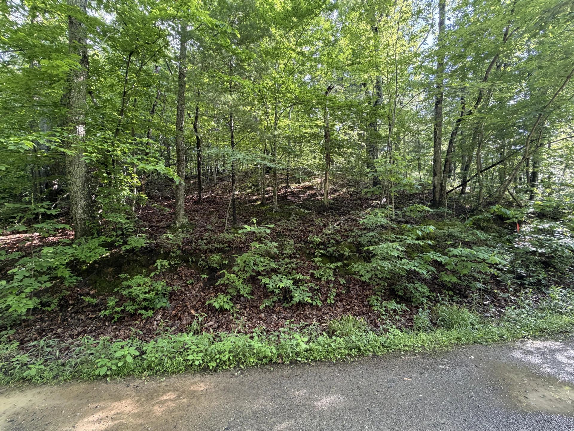 0 Lake RD - Photo 9