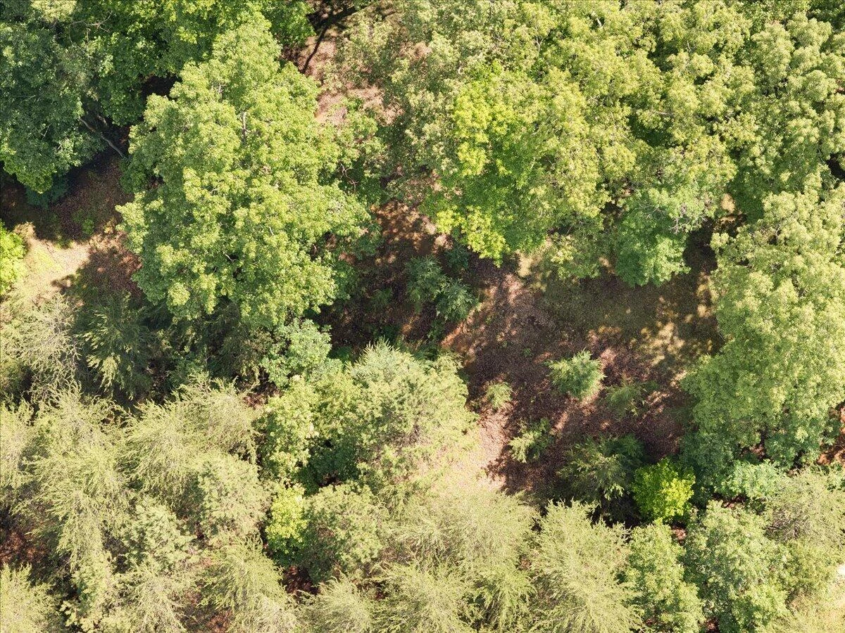 Lot123&124 Dixon DR - Photo 10