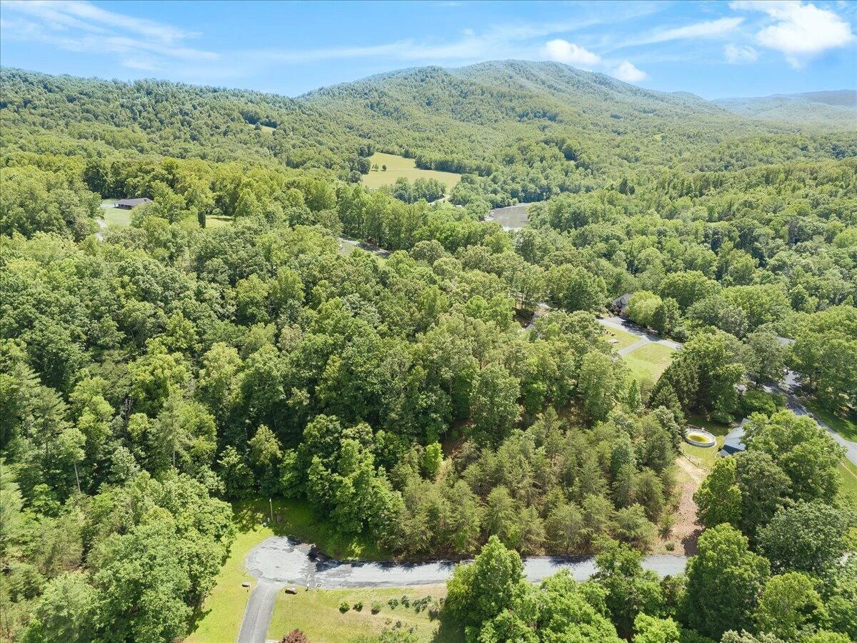 Lot123&124 Dixon DR - Photo 12