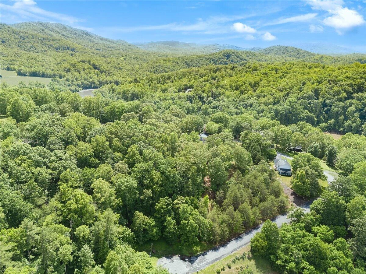 Lot123&124 Dixon DR - Photo 13