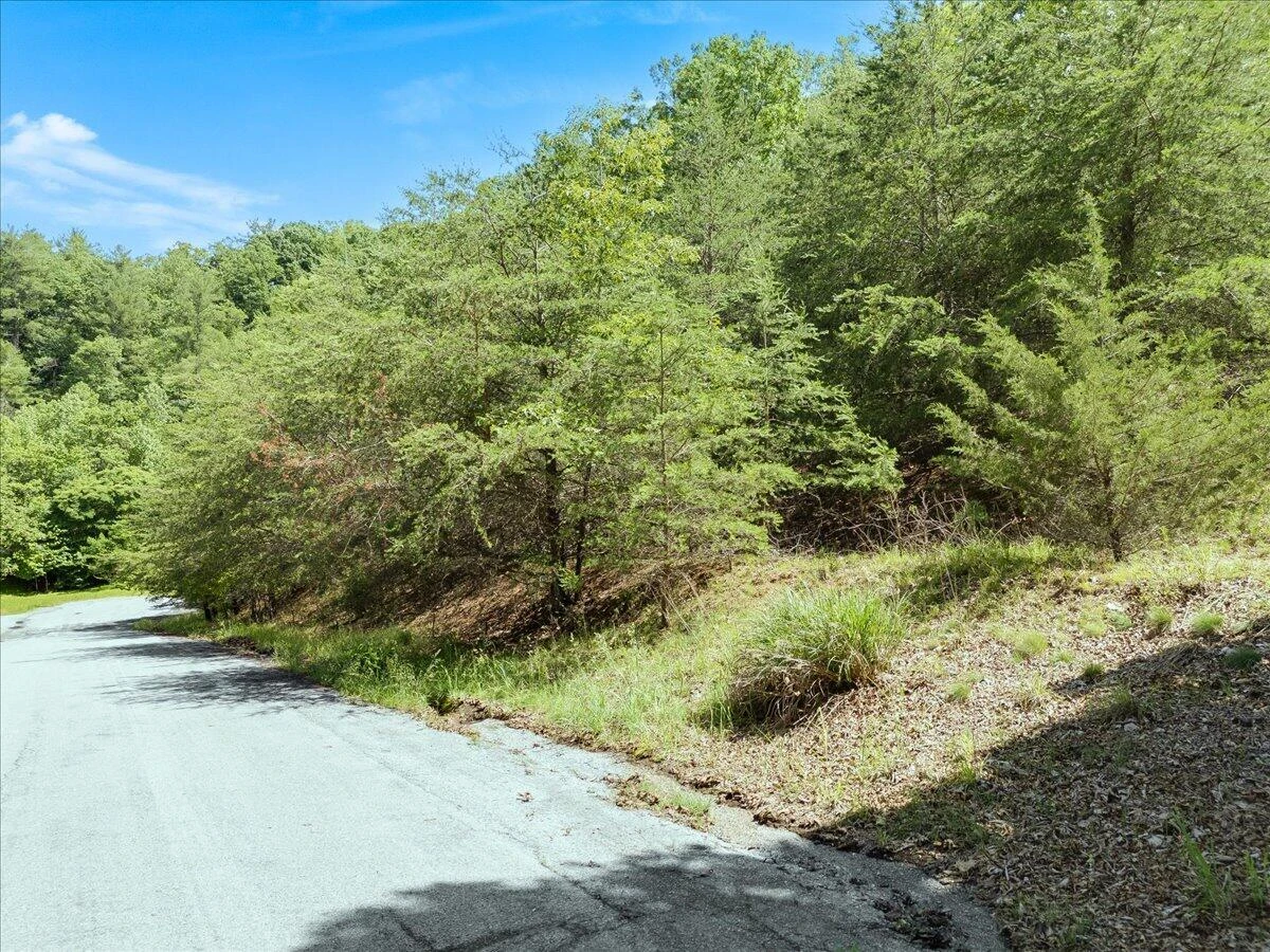 Lot123&124 Dixon DR - Photo 3