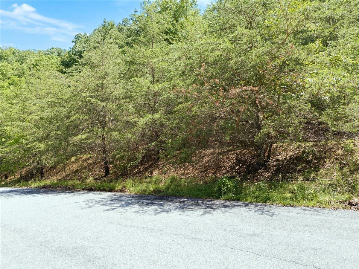 Lot123&124 Dixon DR - Photo 4