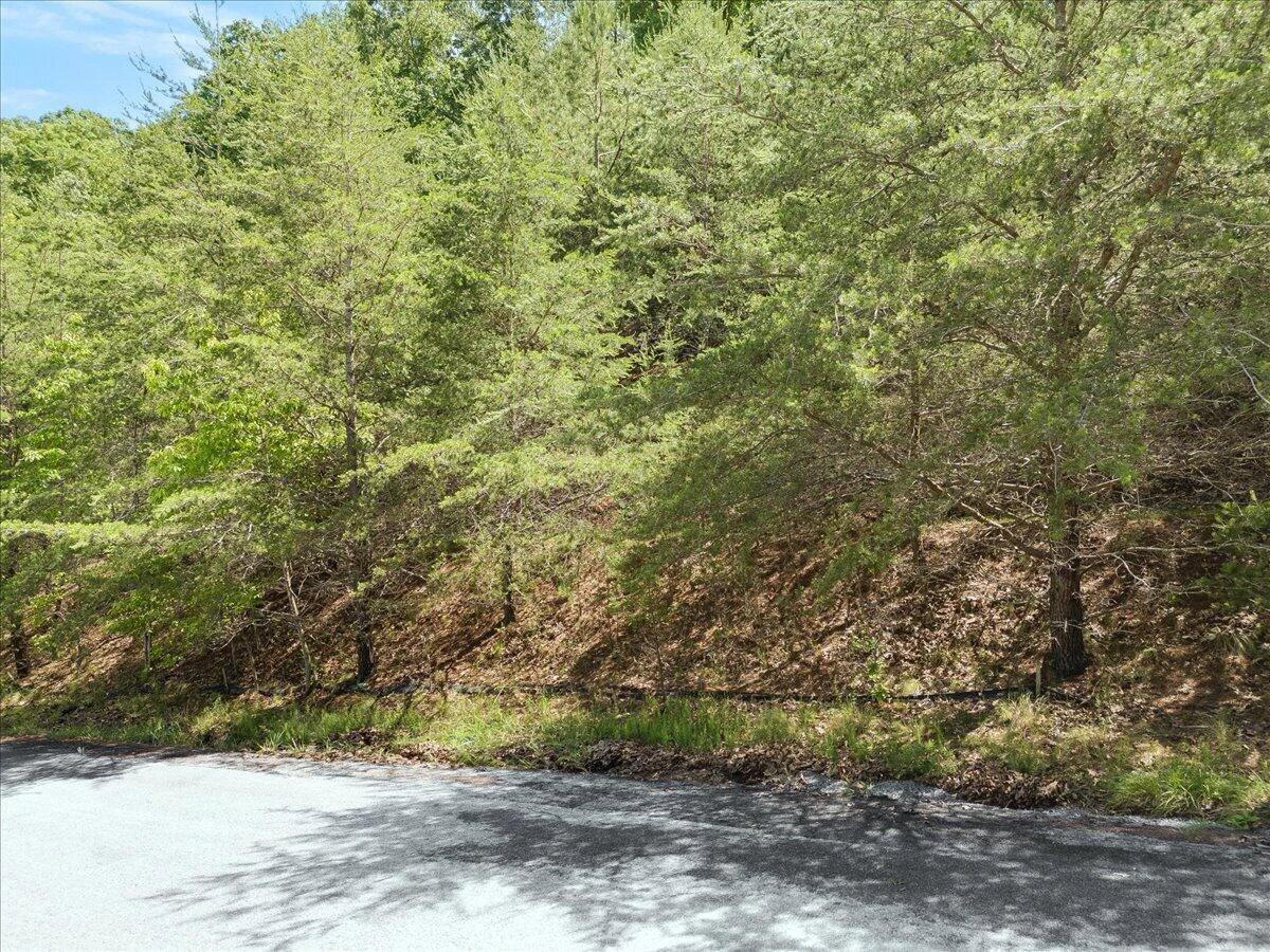 Lot123&124 Dixon DR - Photo 5