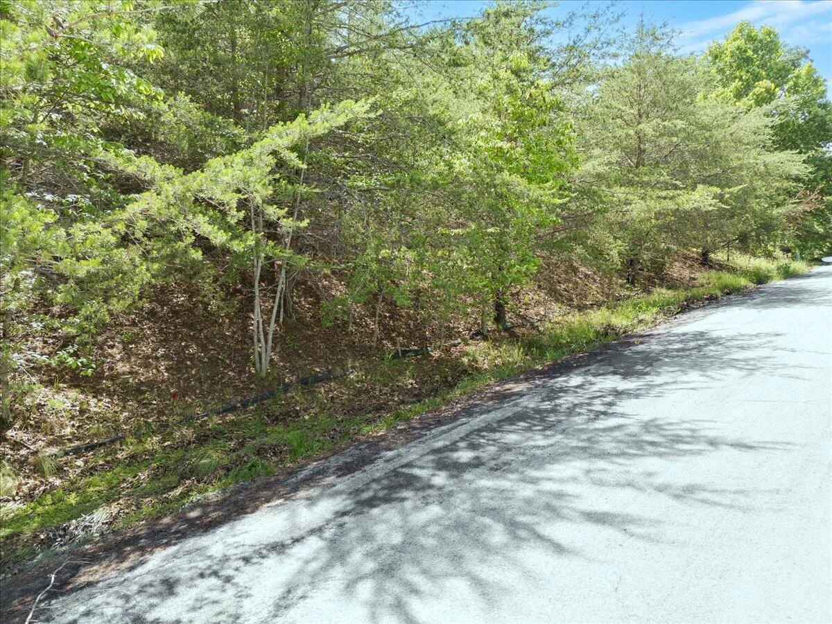 Lot123&124 Dixon DR - Photo 6