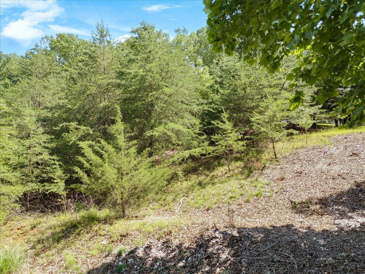 Lot123&124 Dixon DR - Photo 7