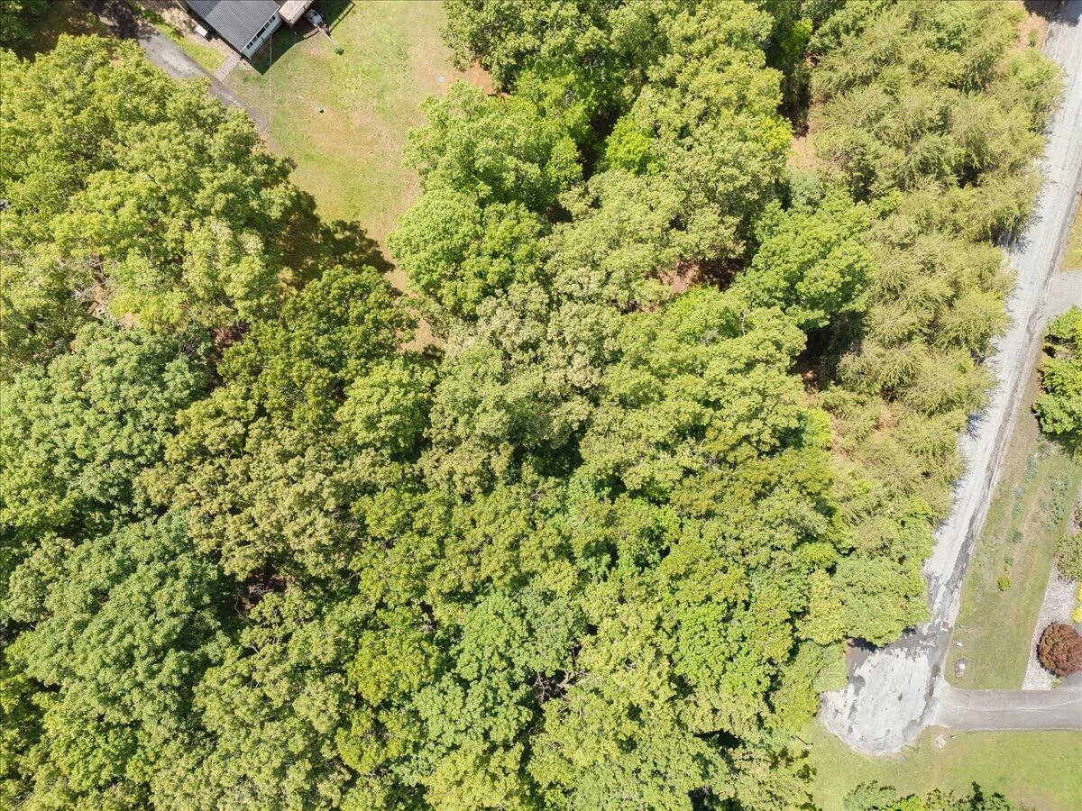 Lot123&124 Dixon DR - Photo 9