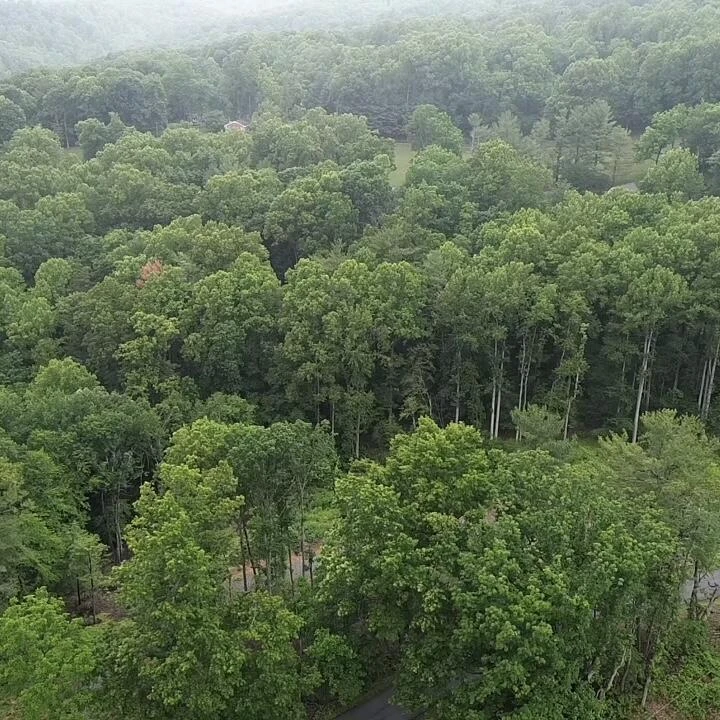 0 Corntassel LN - Photo 5