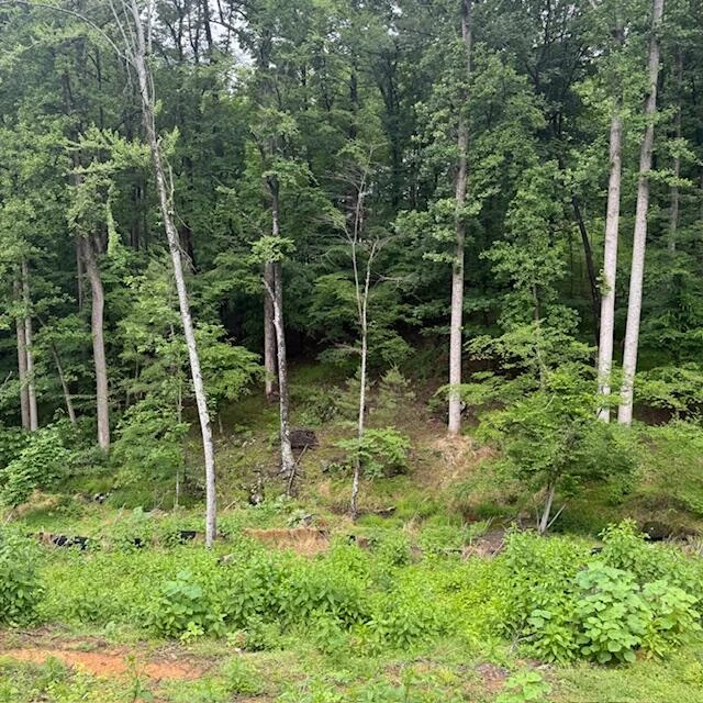 0 Corntassel LN - Photo 6