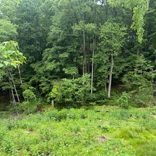 0 Corntassel LN - Photo 7