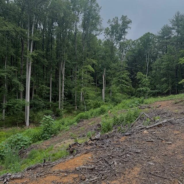 0 Corntassel LN - Photo 9