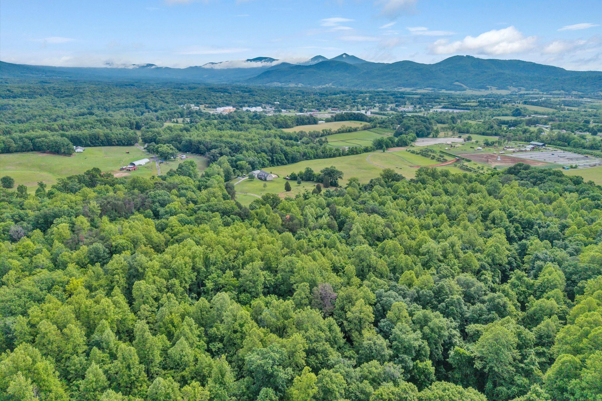 1550 Vernon LN - Photo 4