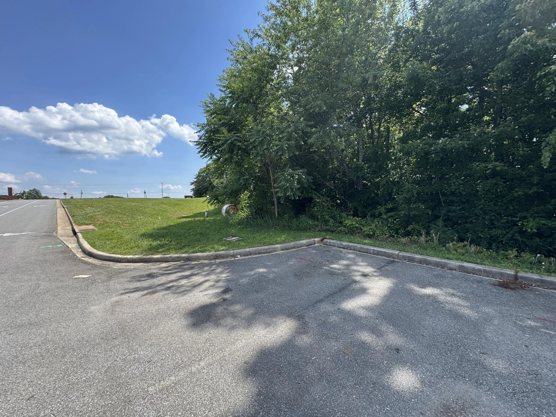 Lot 55 Moneta RD - Photo 2