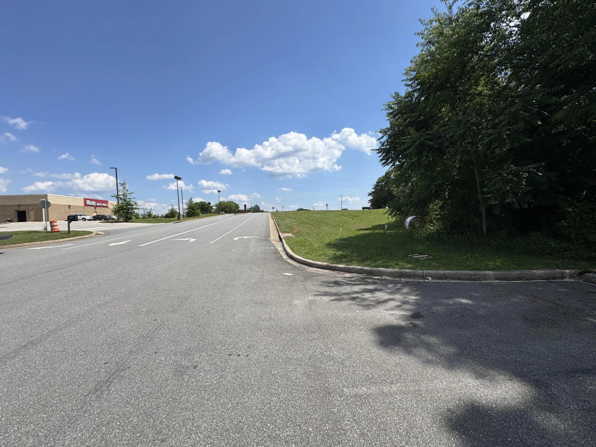 Lot 55 Moneta RD - Photo 3