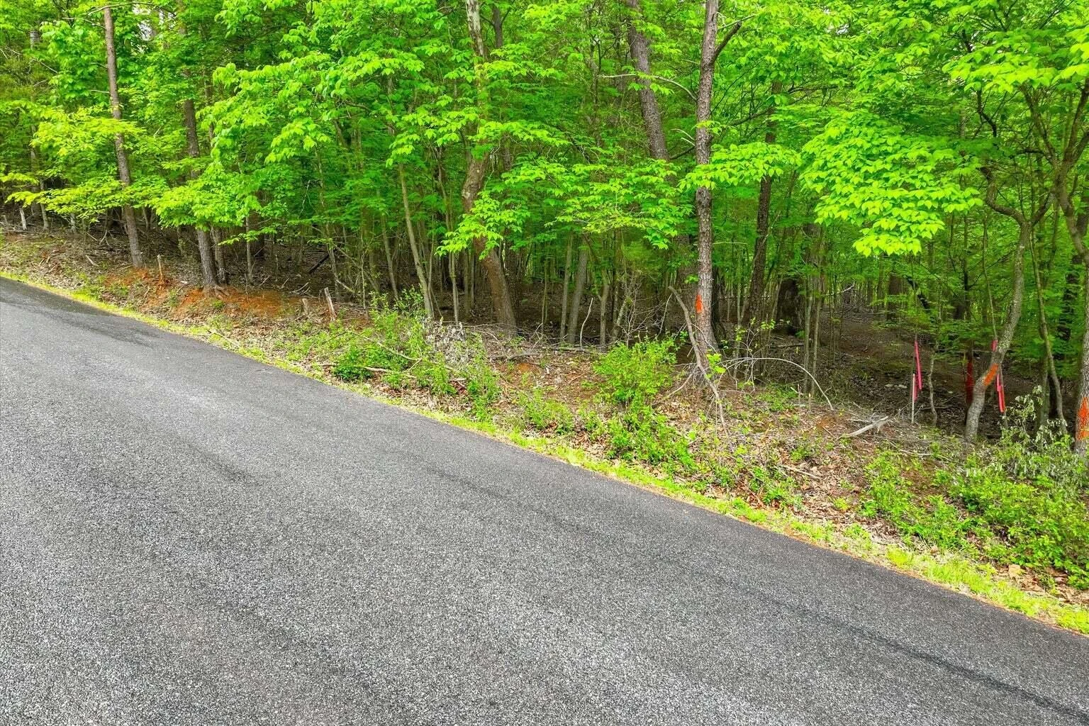 Lot 60 Old Barn RD - Photo 11