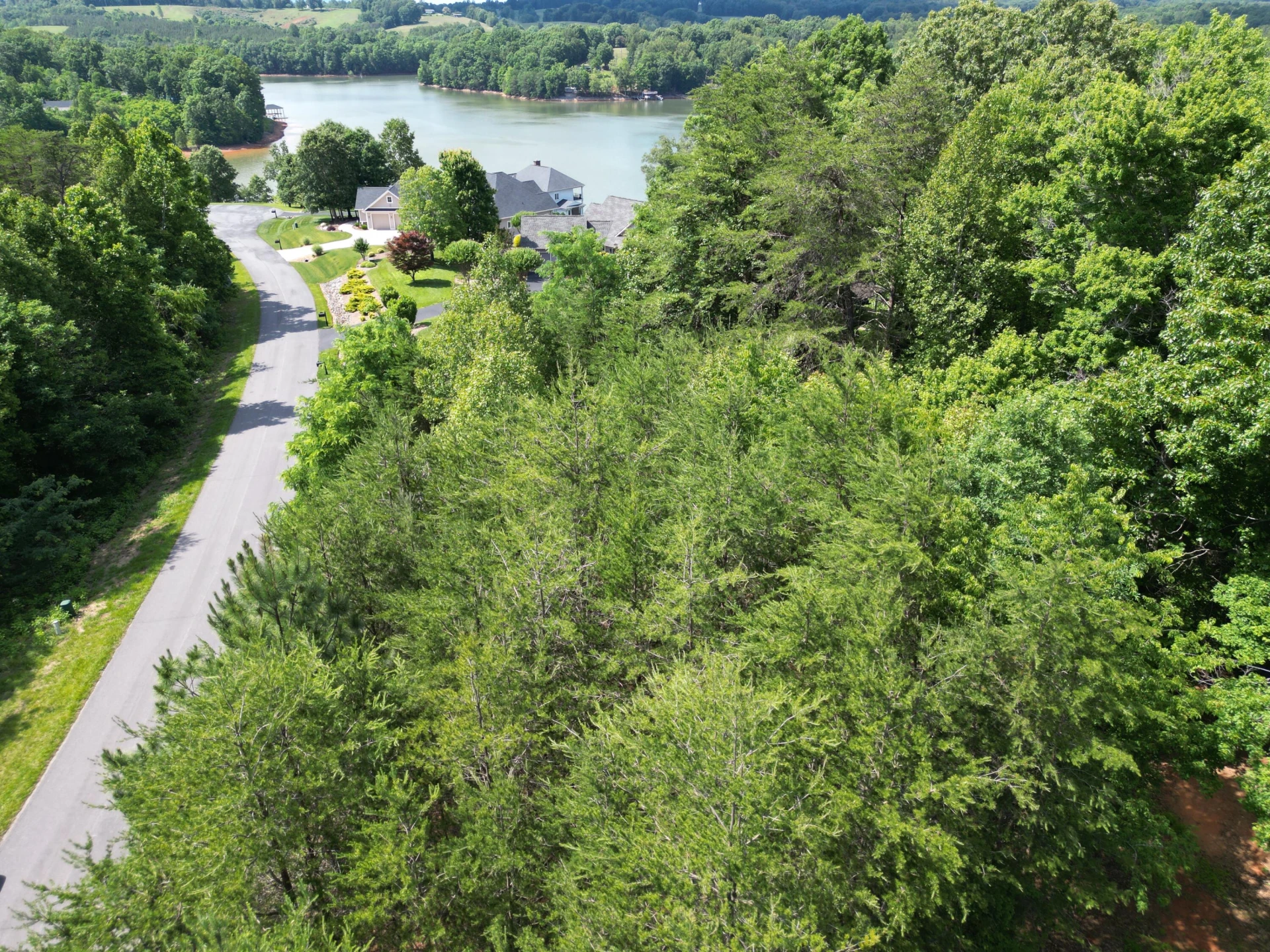 00 IVY LN - Photo 12