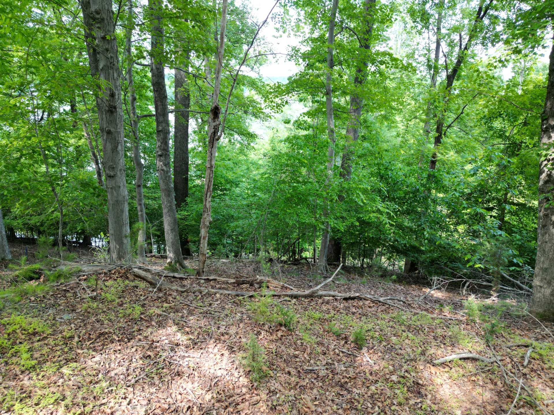 00 IVY LN - Photo 14