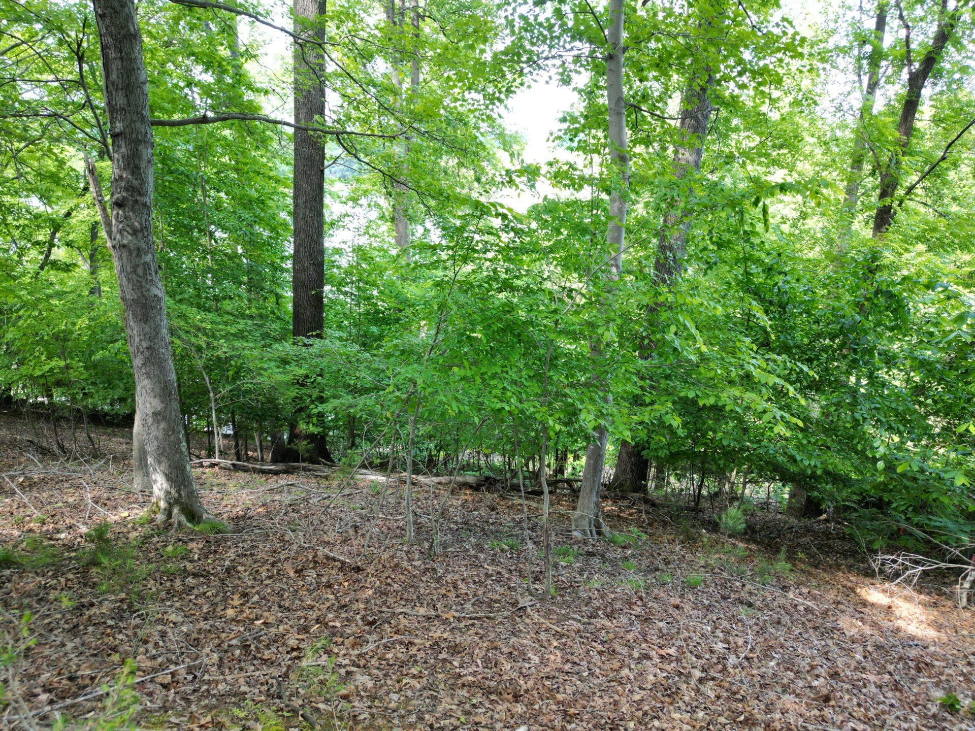 00 IVY LN - Photo 16