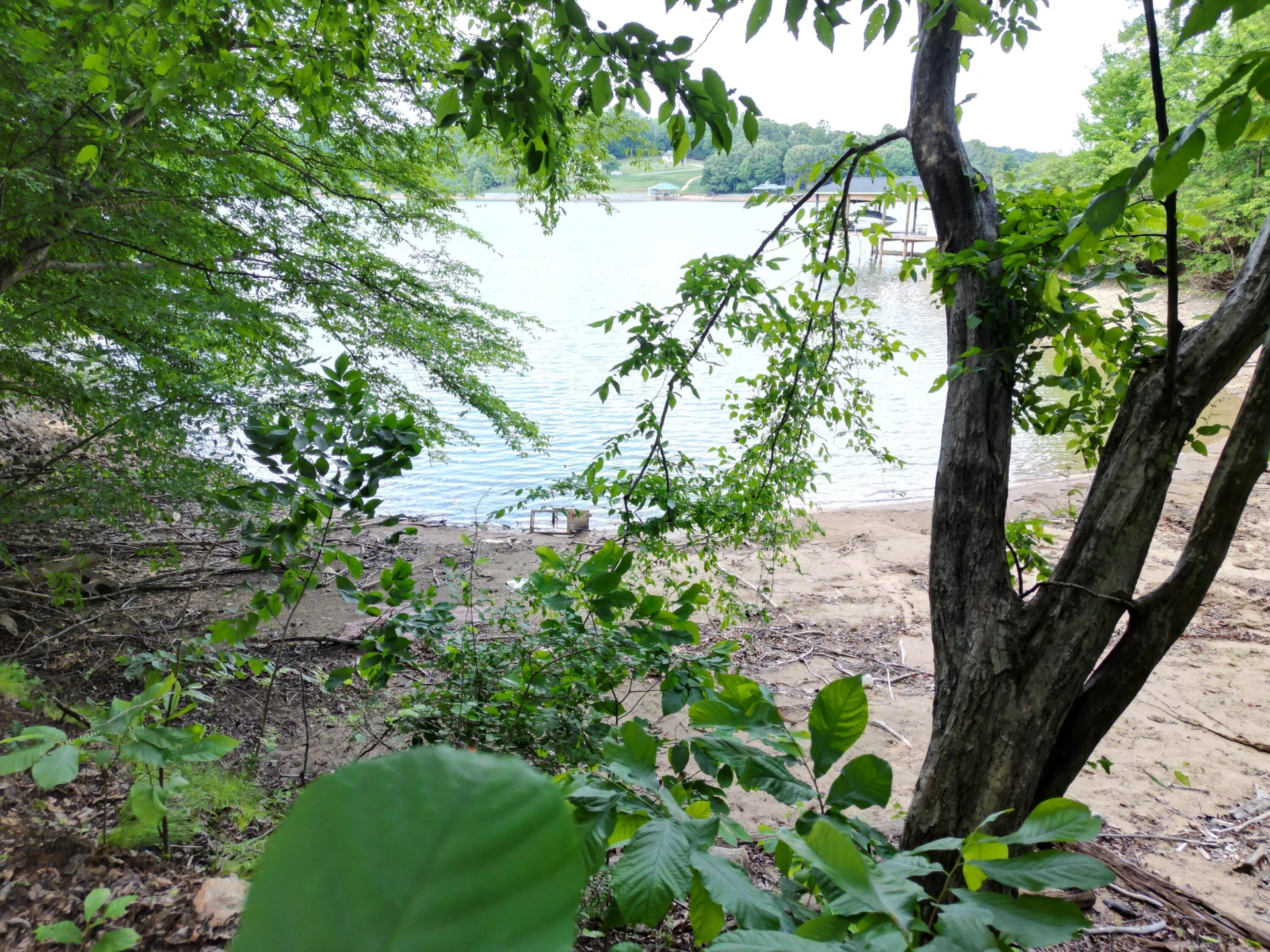 00 IVY LN - Photo 18